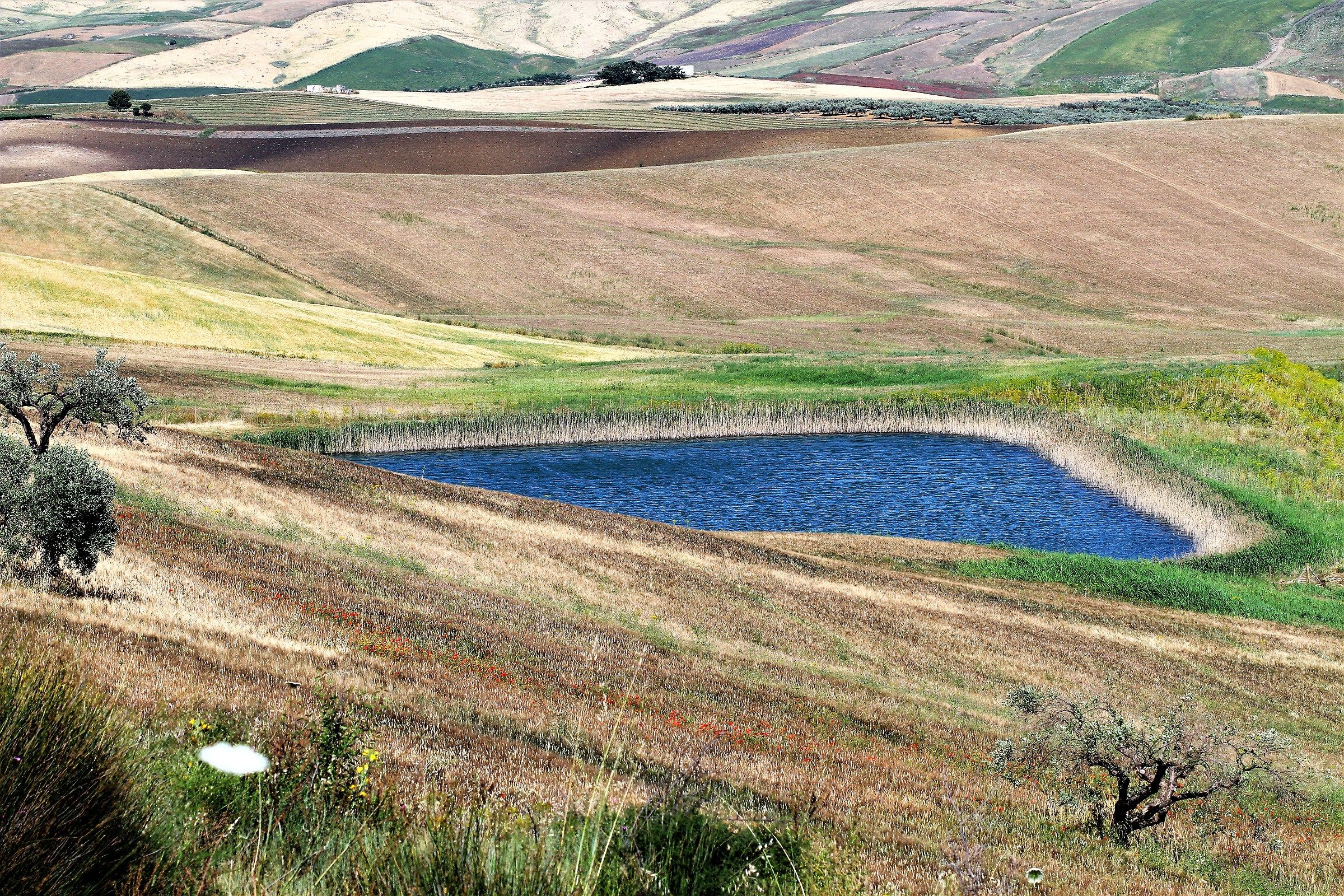 Spring colors forwarded