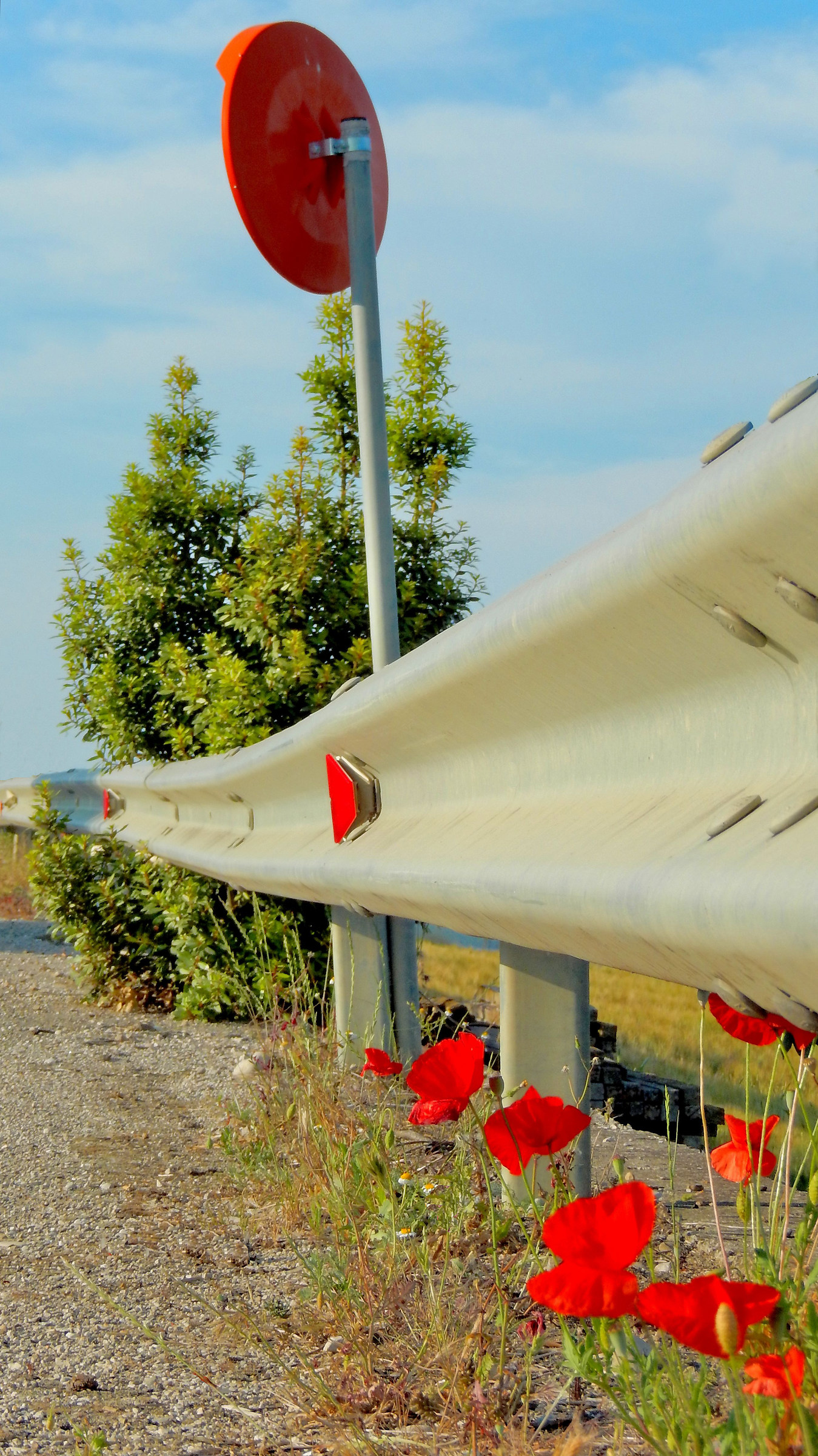 Solo un Po' Più Grande