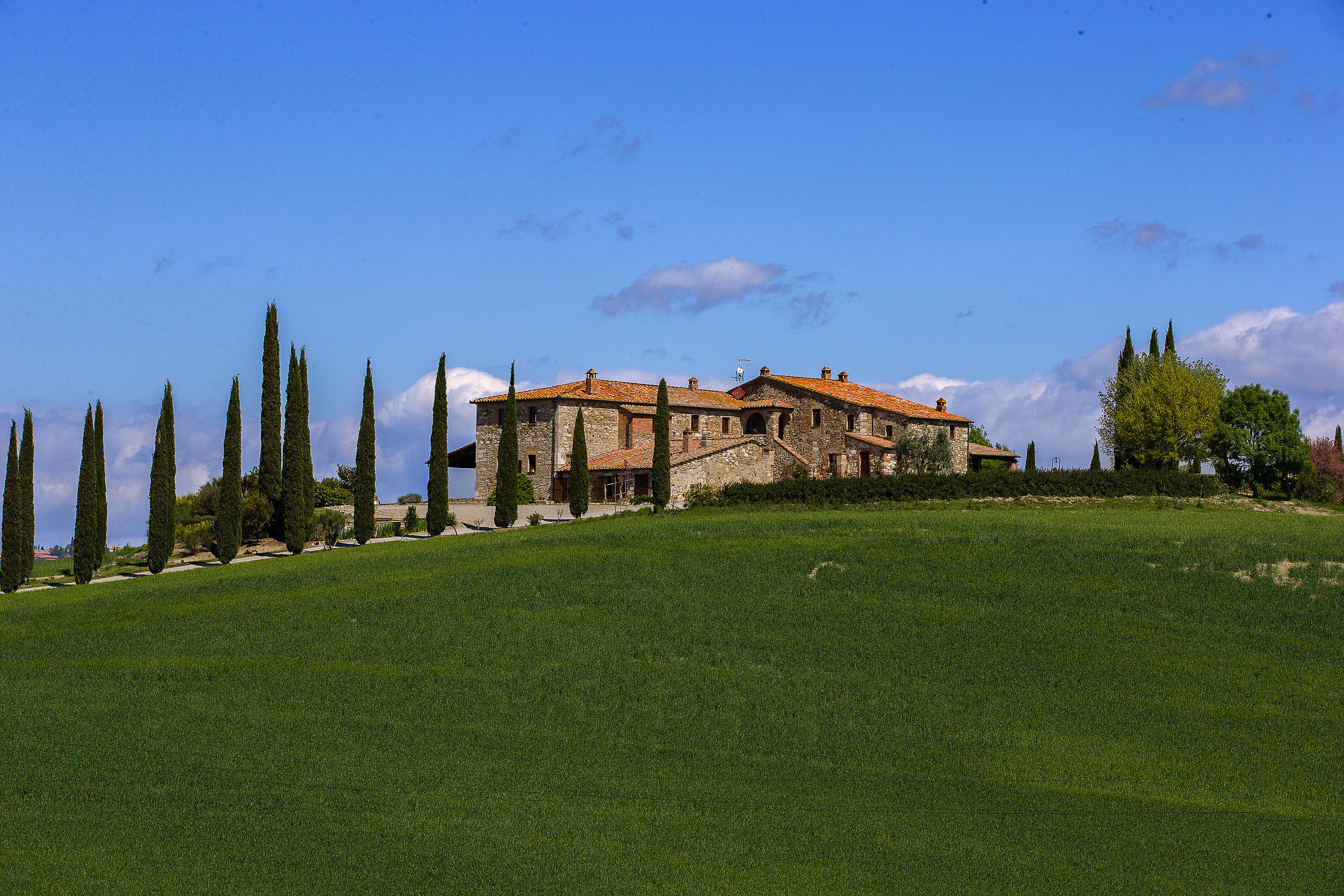 Poggio Covili lato Est