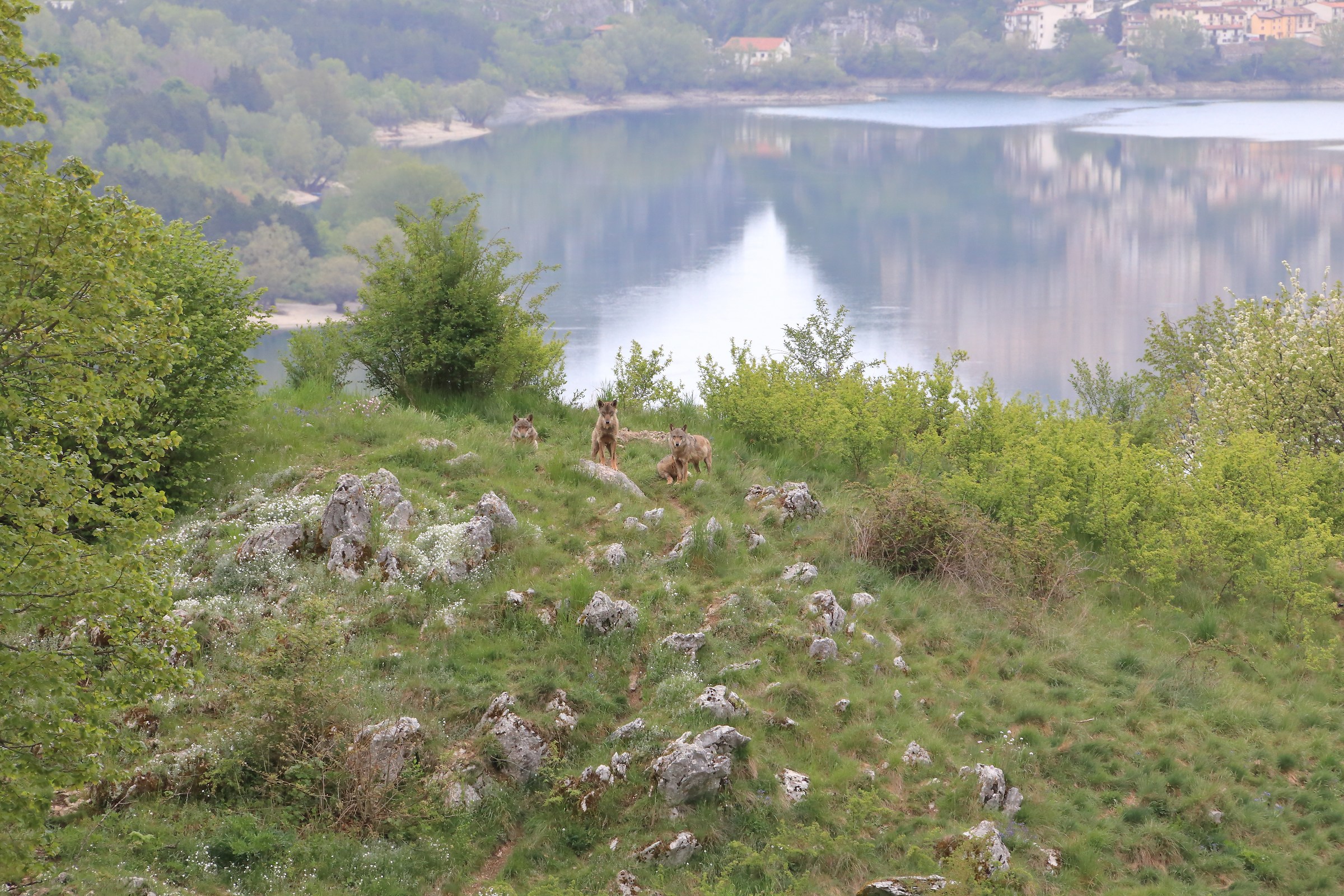 Punto di osservazione!