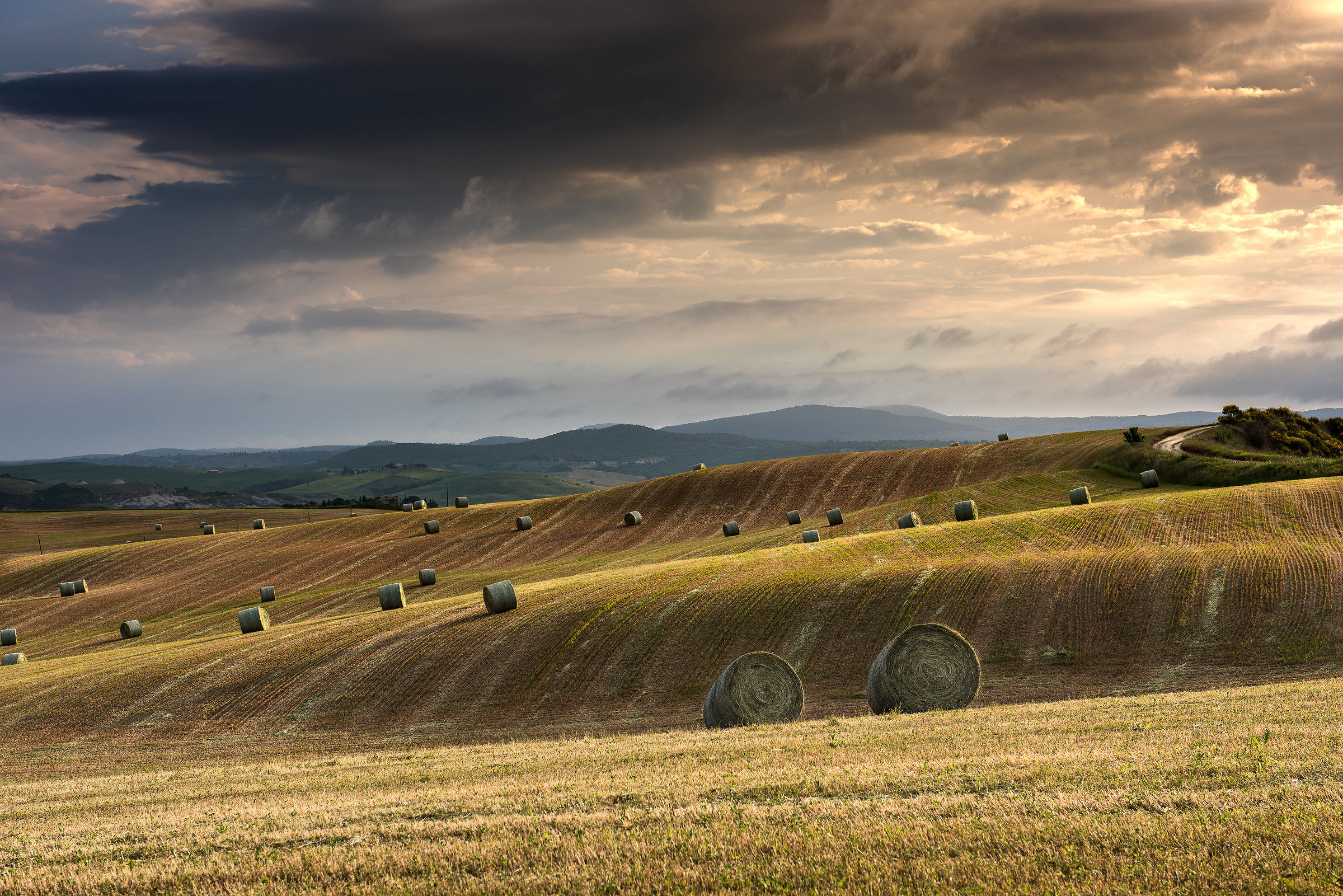 Colori di una giornata uggiosa