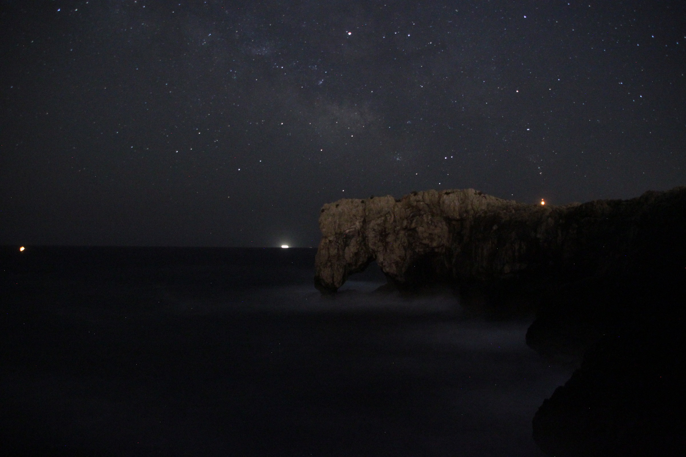 The elephant under the stars