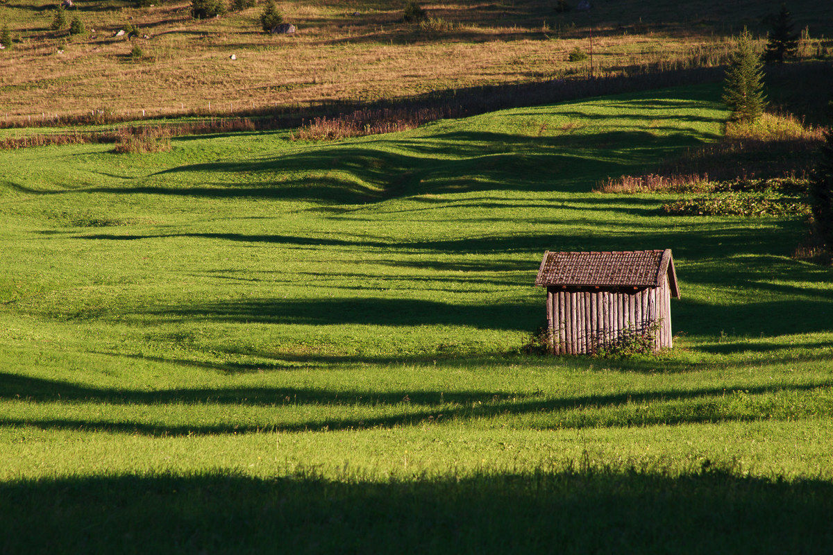On the meadows of Berwang