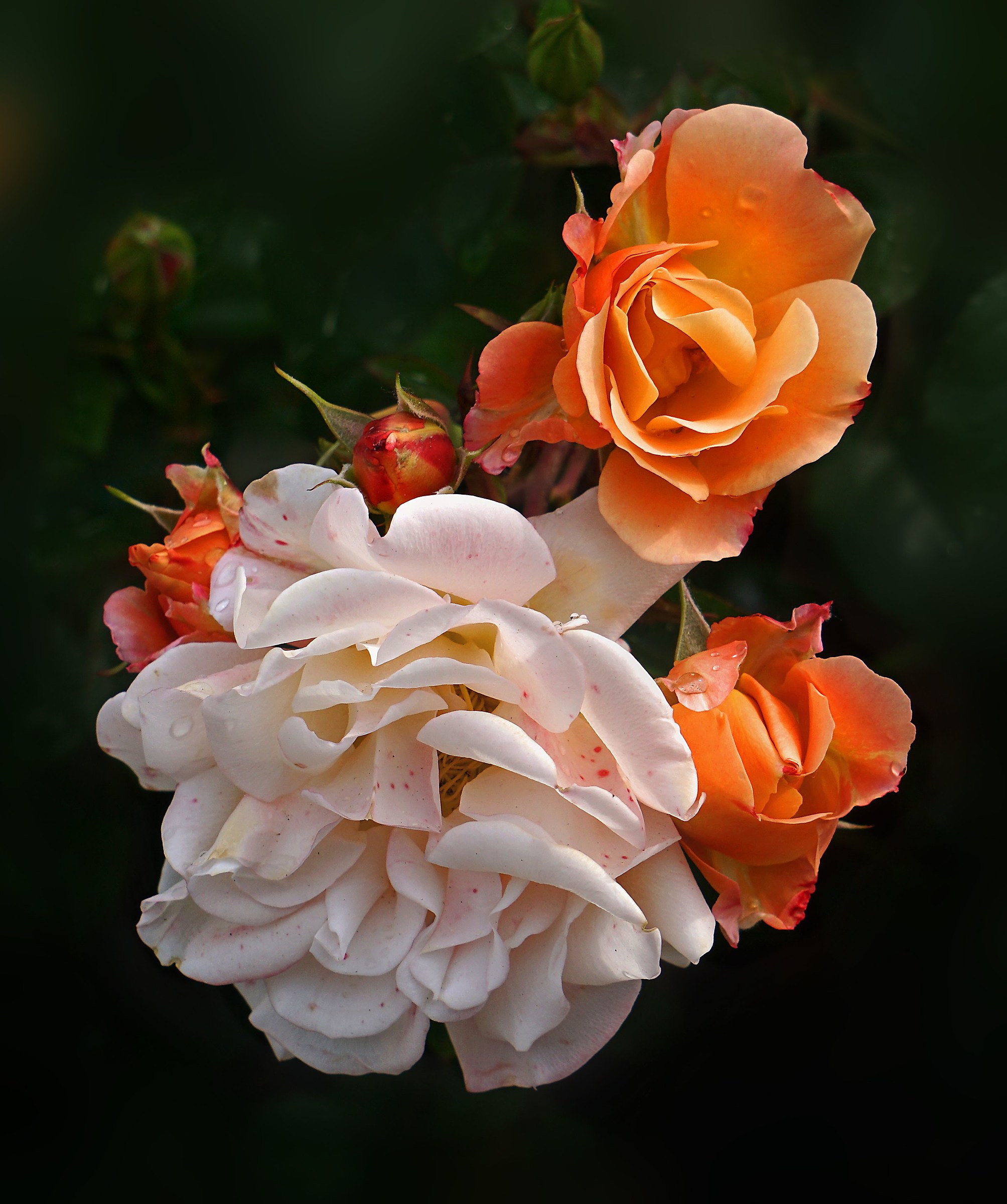 Different from the same stem.