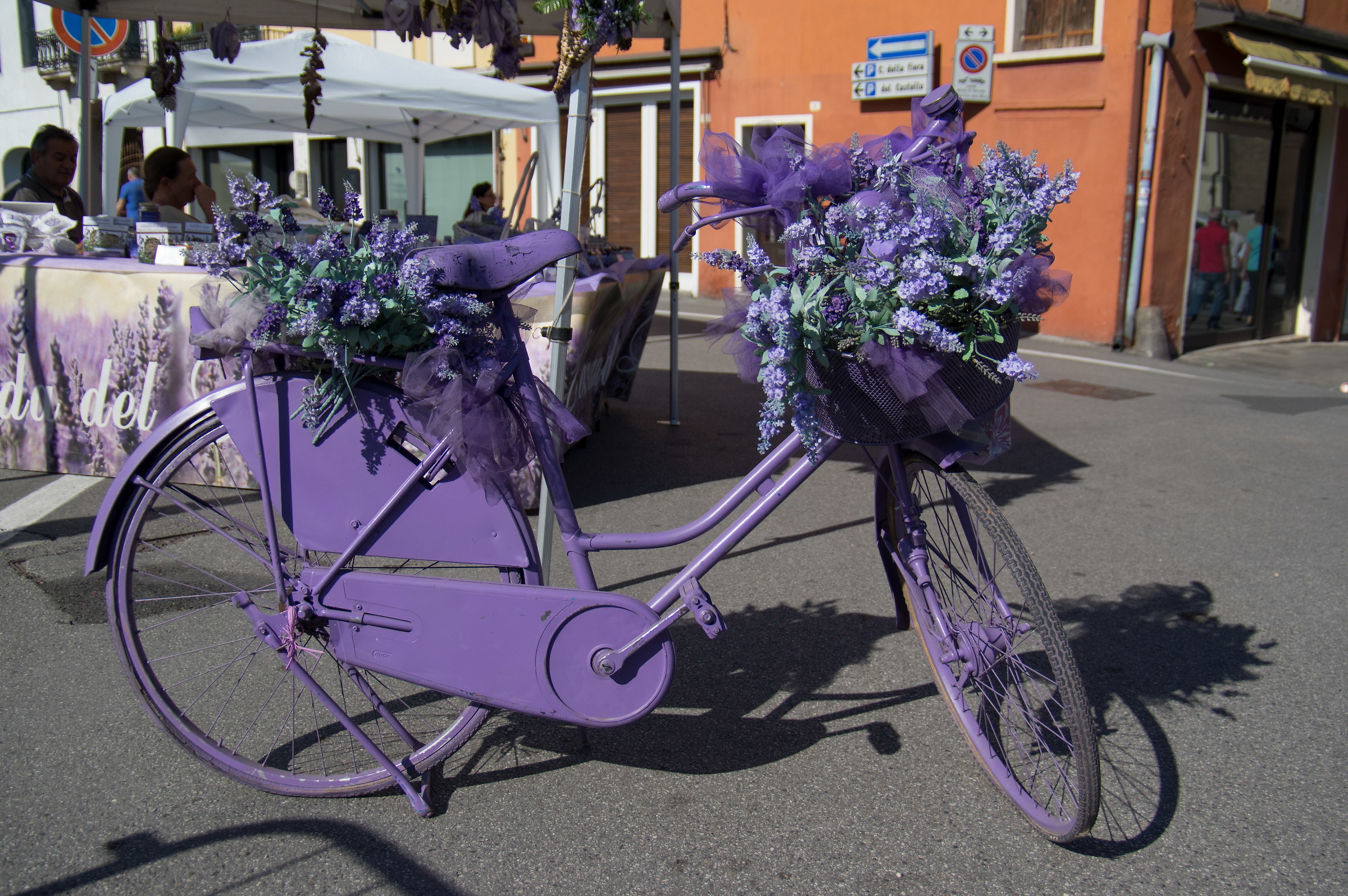Colorful Lavender Bike