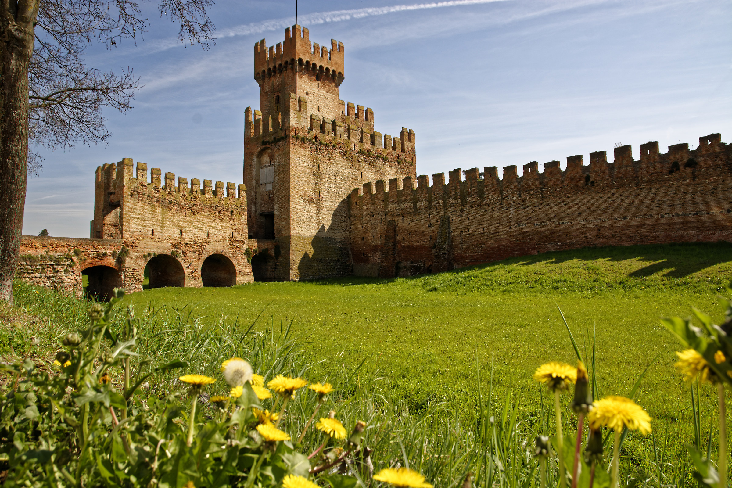 la rocca degli alberi