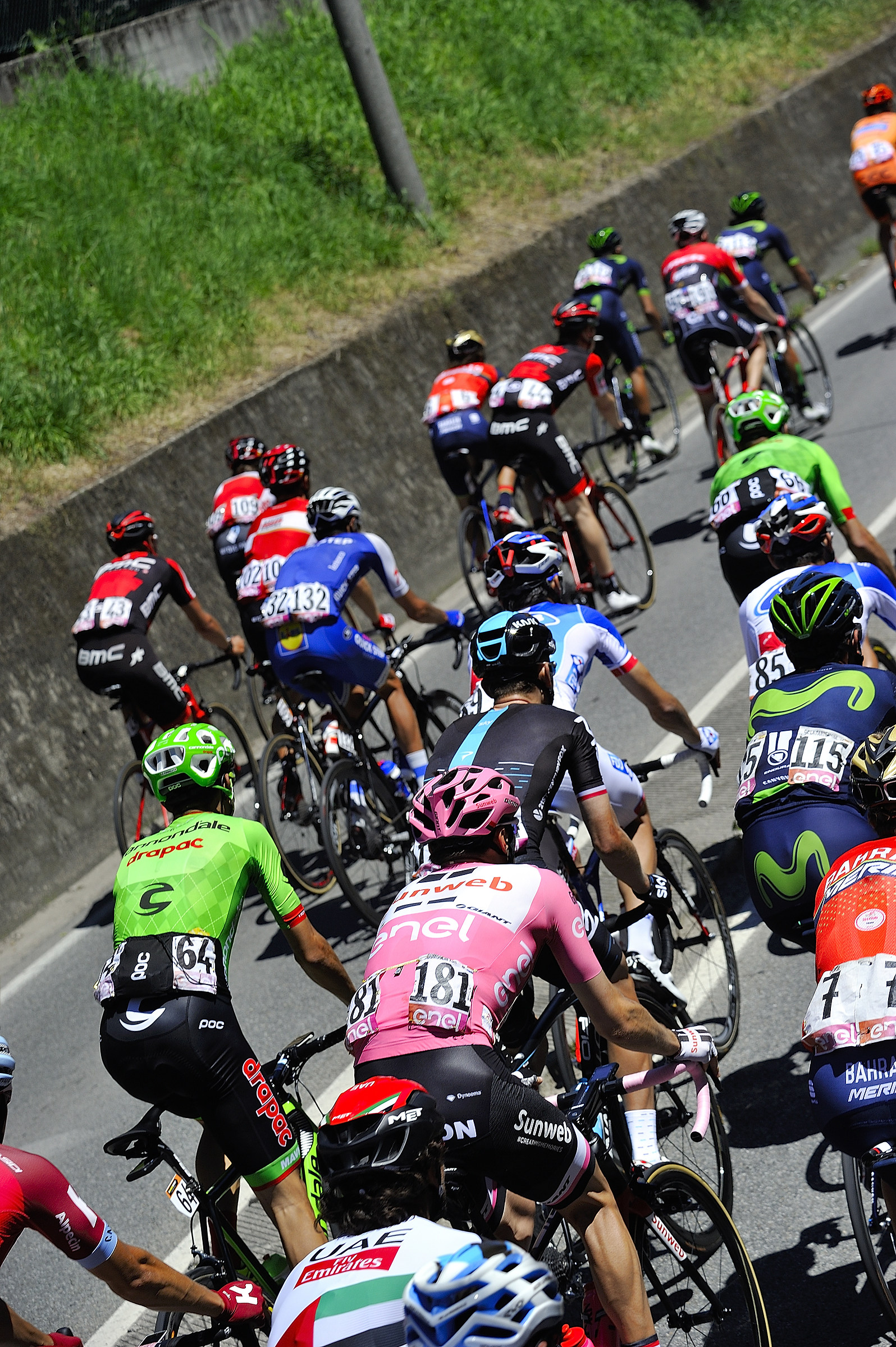 Tom Dumoulin in rosa
