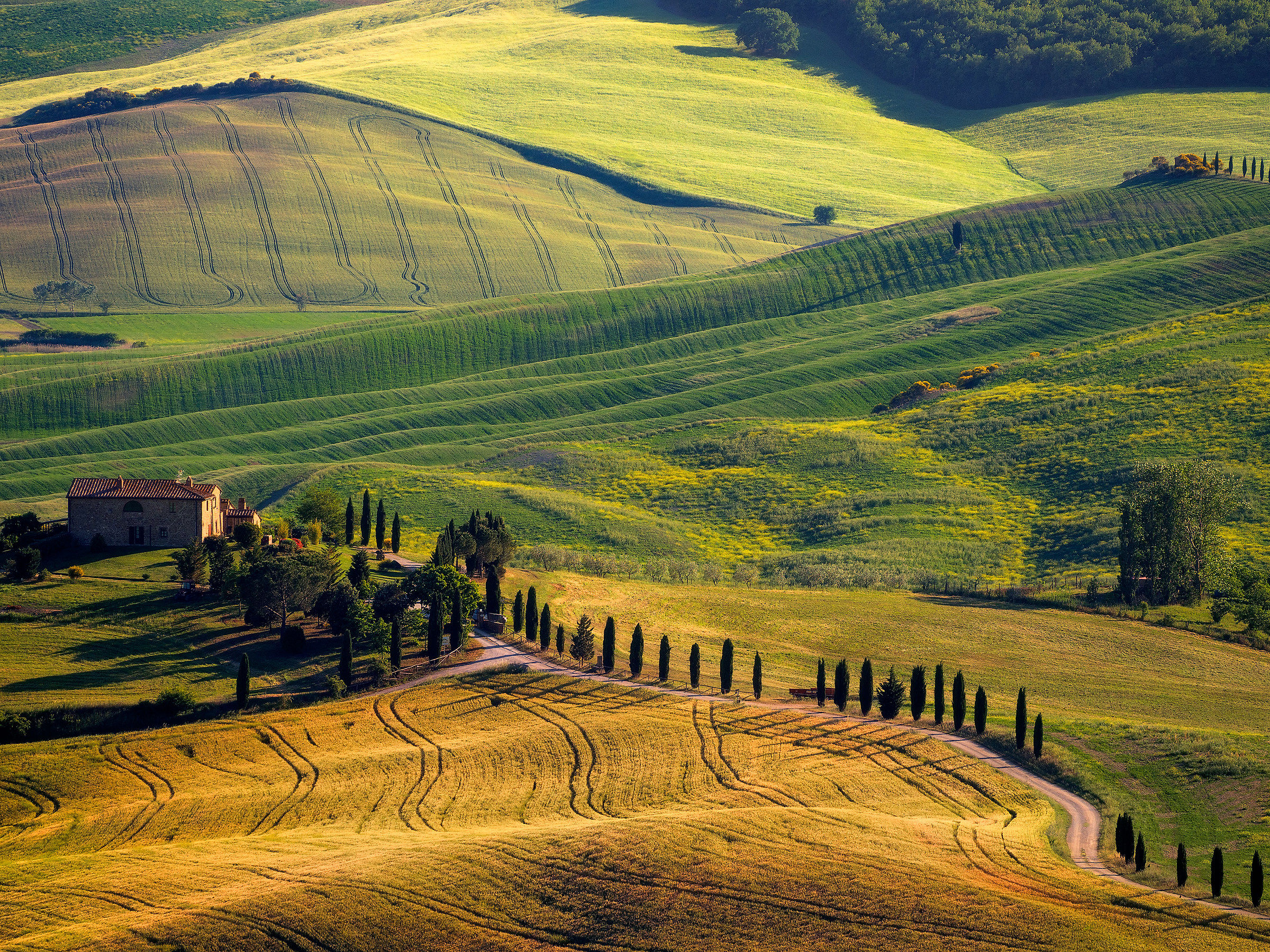 Sfumature toscane