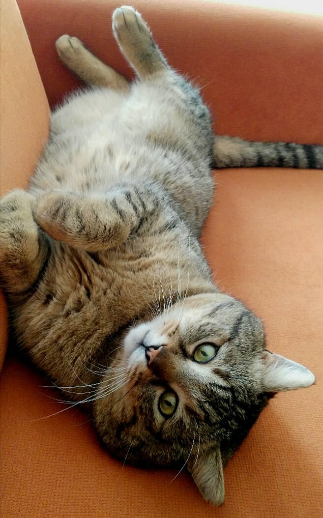 Pauline makes a mustache