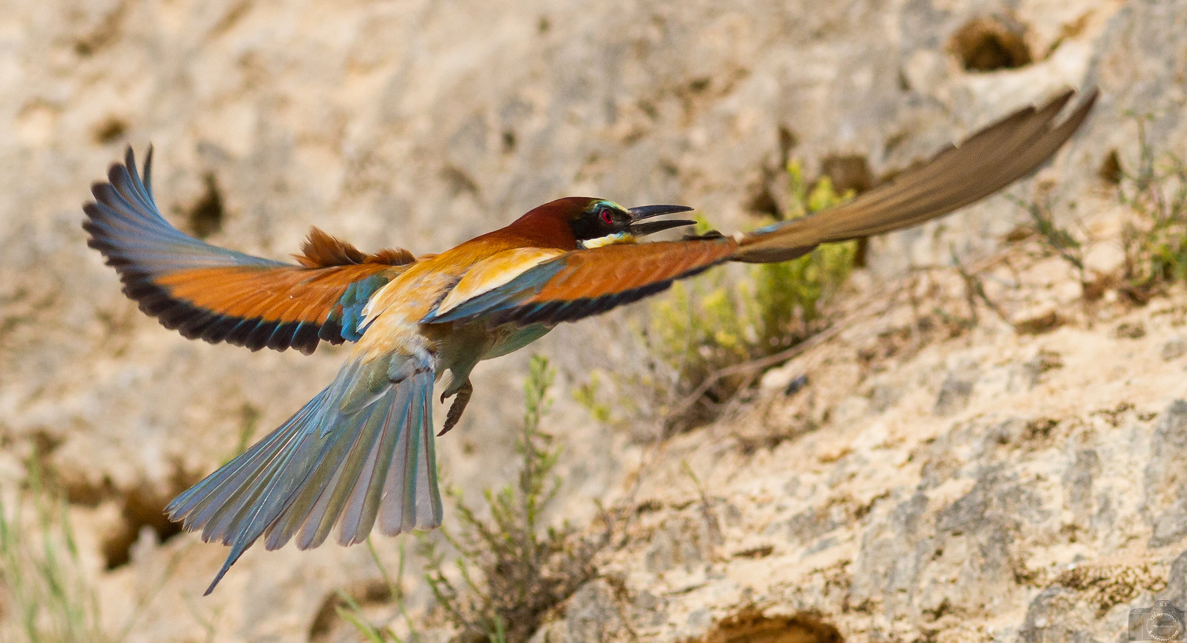 Floating in the air..