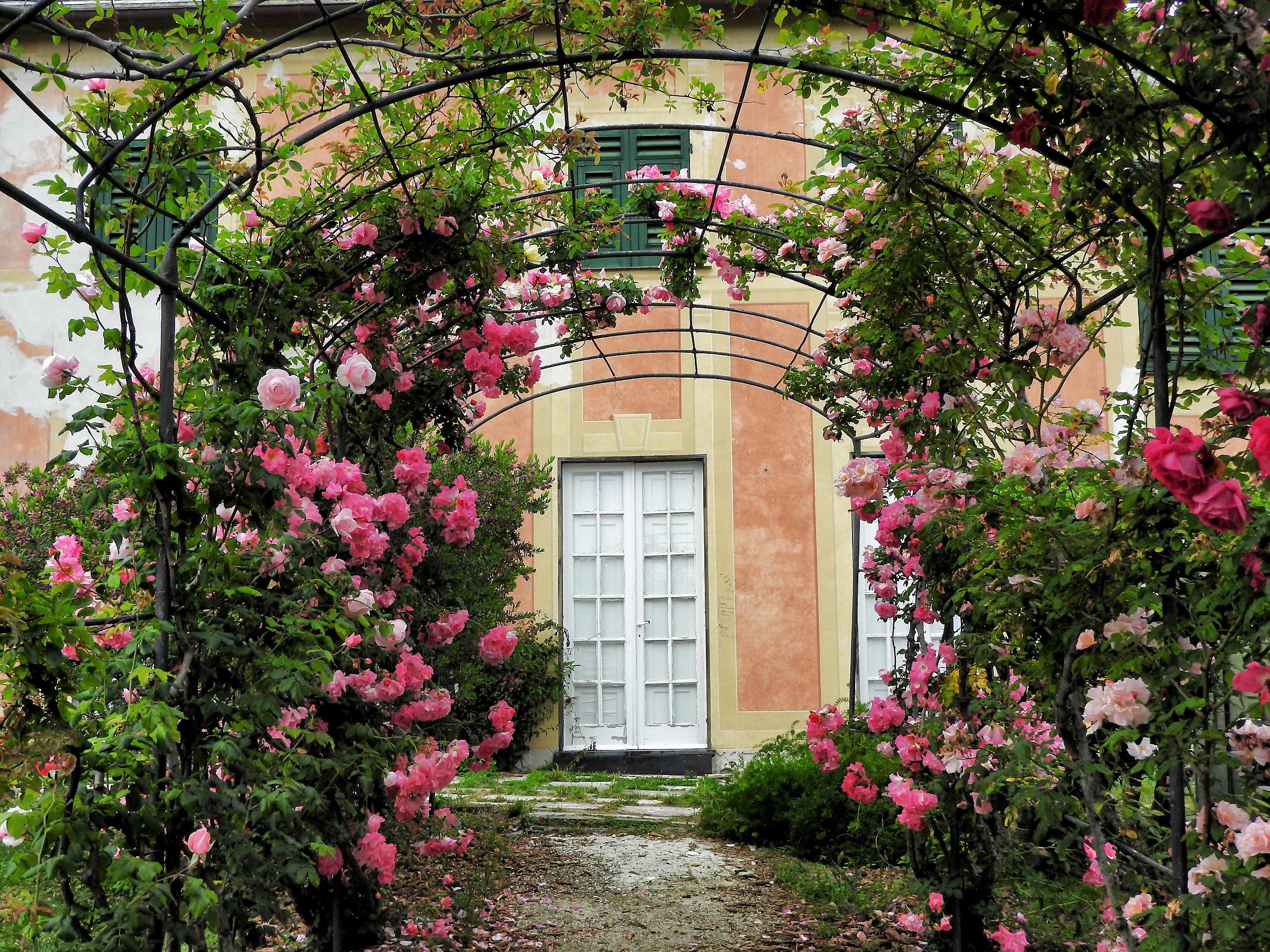 "The Rosette" - Villa Serra - Nervi (ge)
