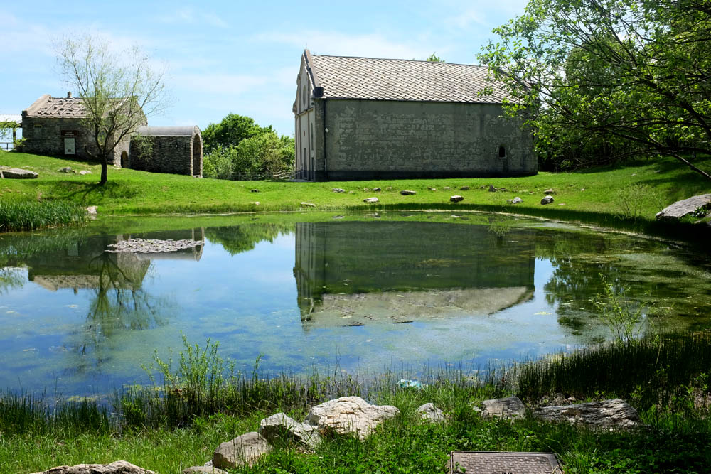 Our lady of the lake