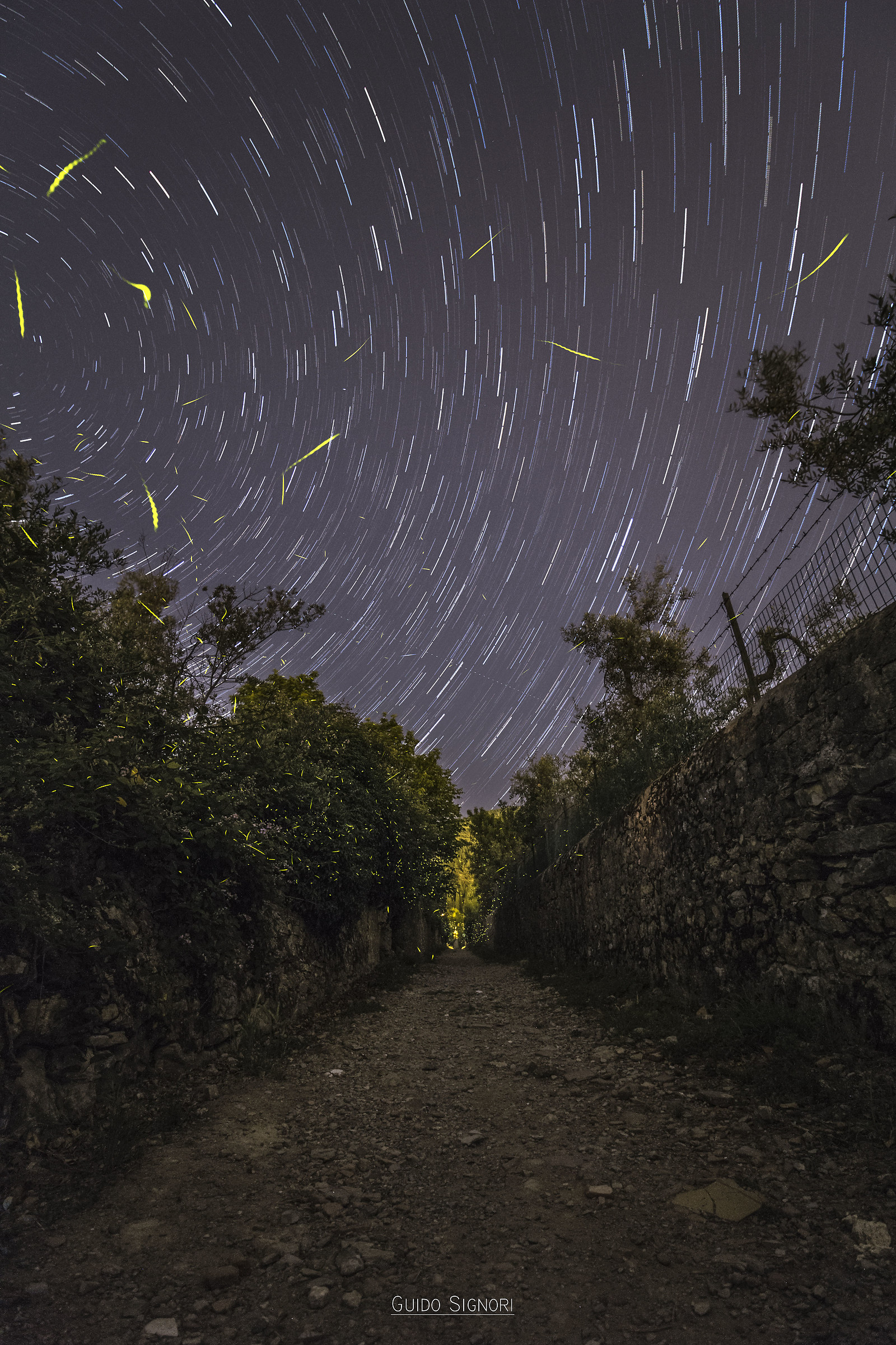 Where are the Star Trail?