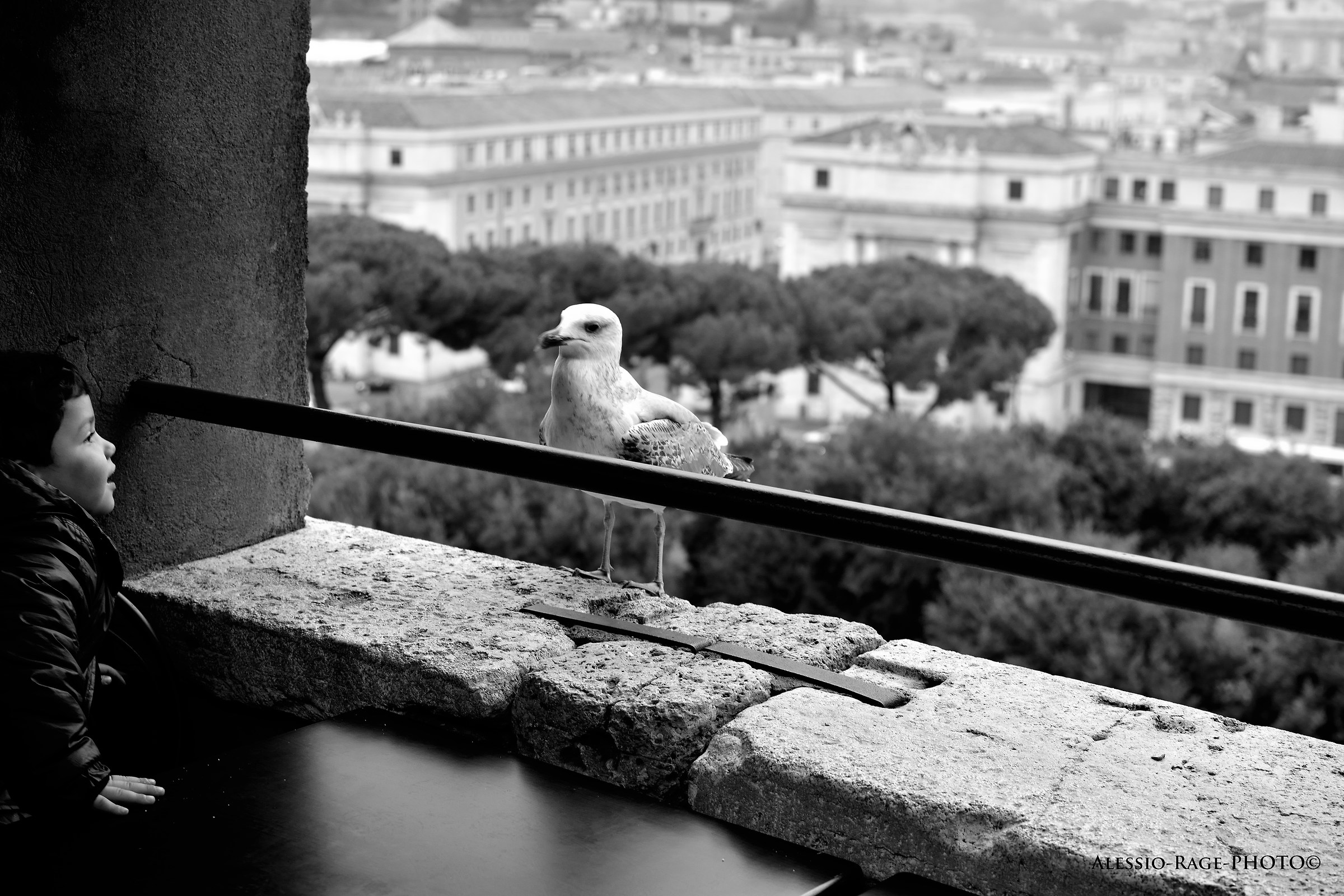 Holy angel castel and astonishment