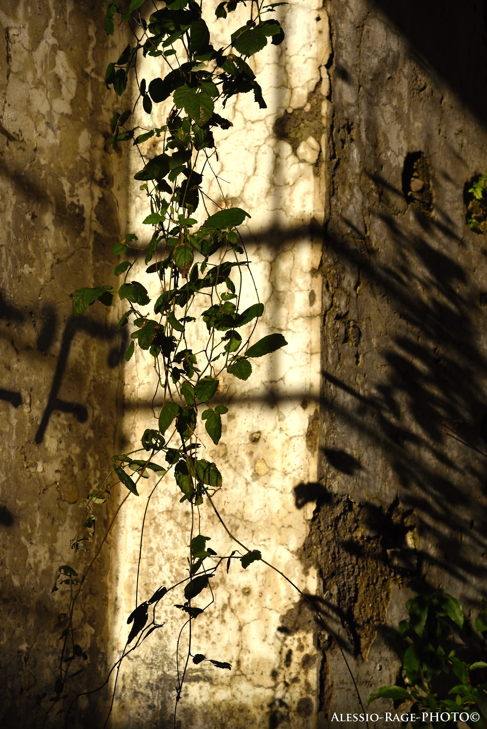 Recovering the spaces