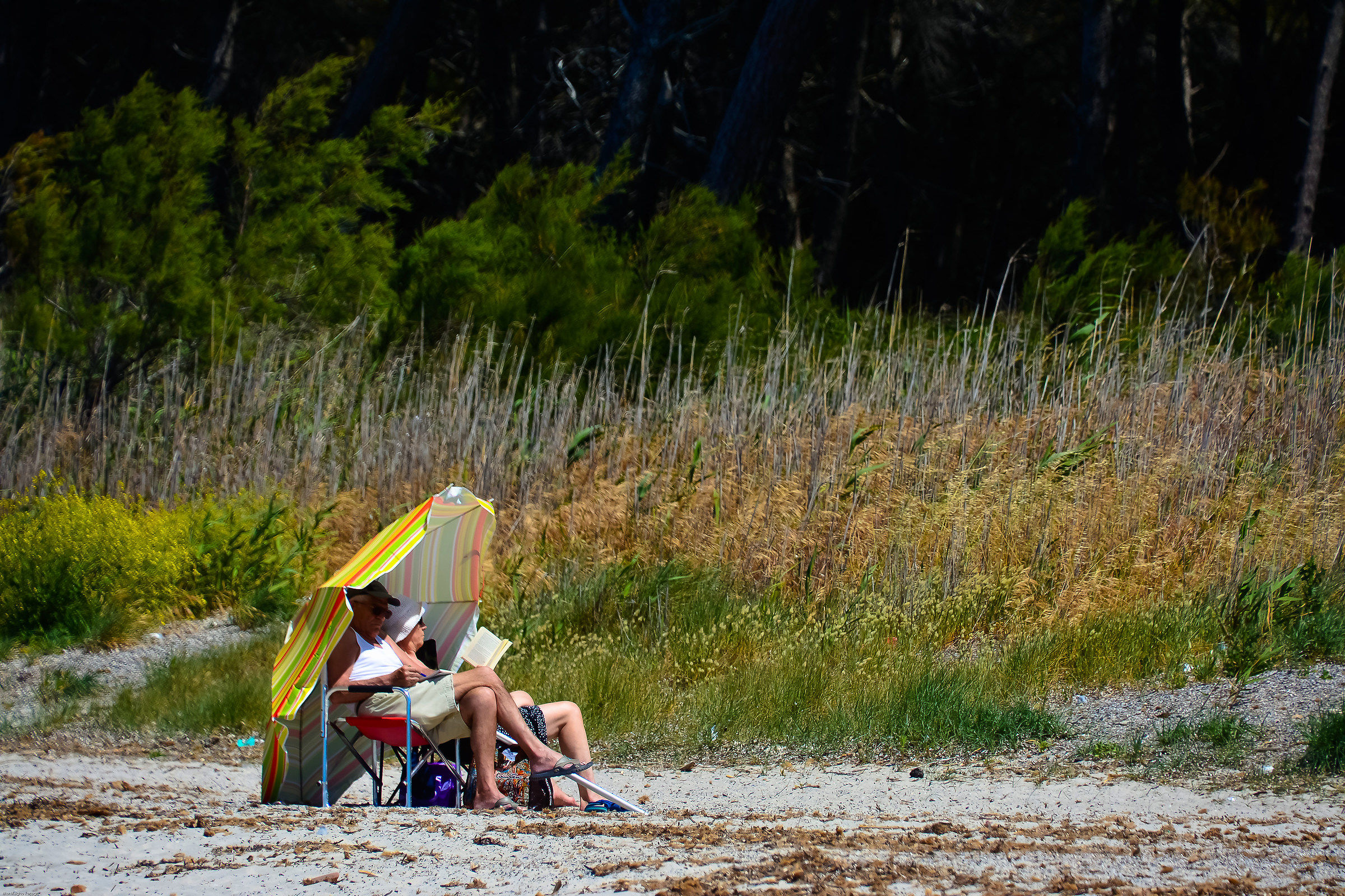 Bathers (Free Beaches)