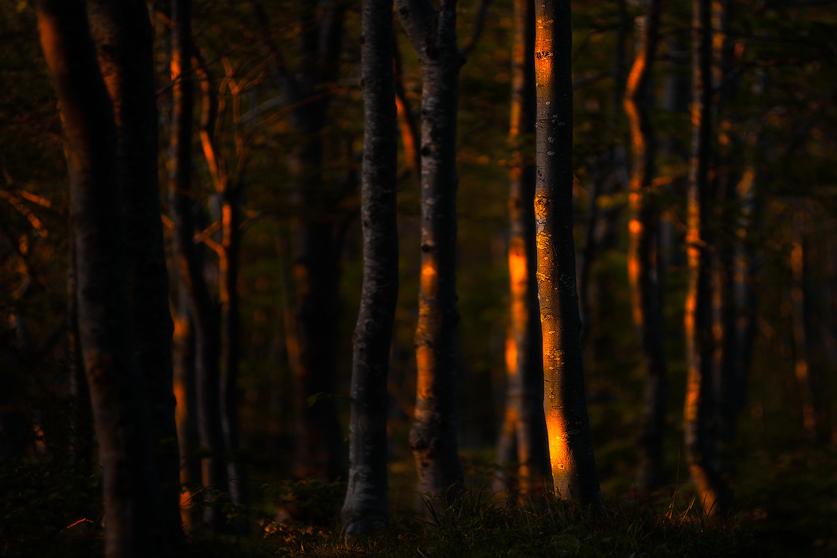 10 minutes of protagonism