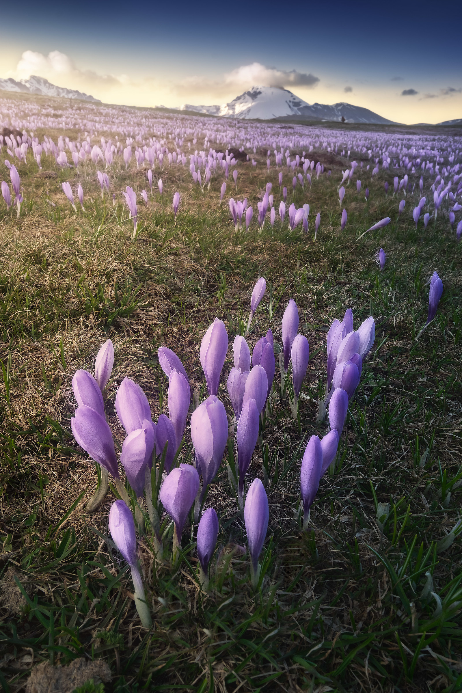 Primavera a Campo Imperatore