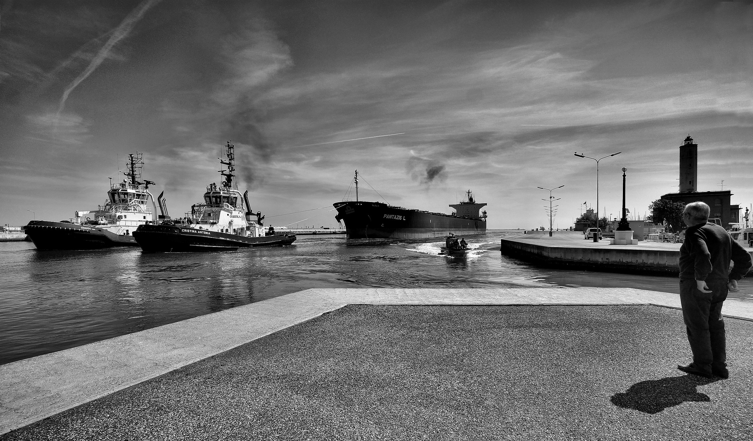 Curious from the pier.