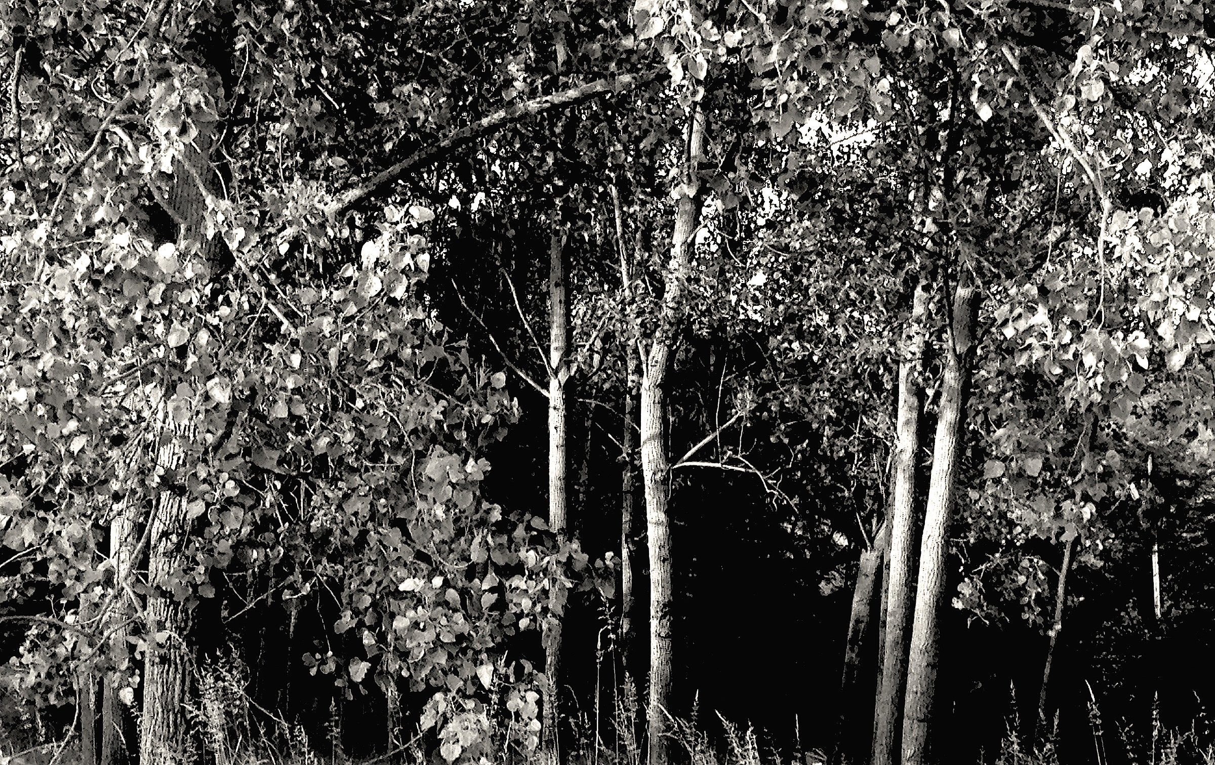 alle prime luci de mattino...