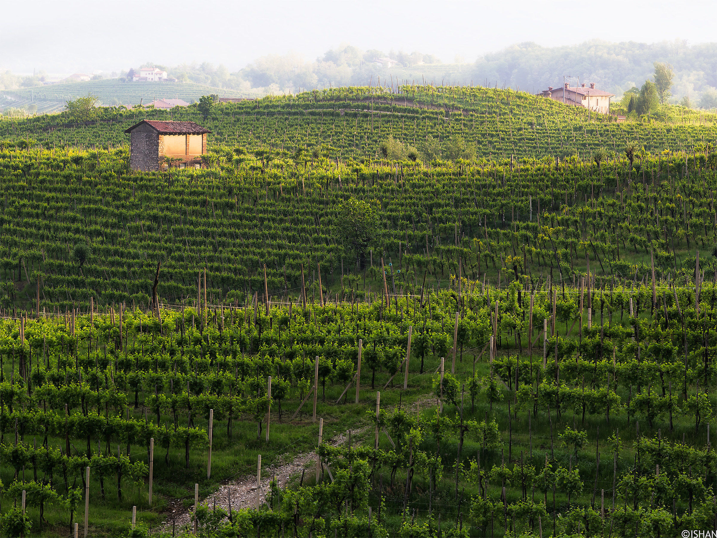 Accarezzata dal sole