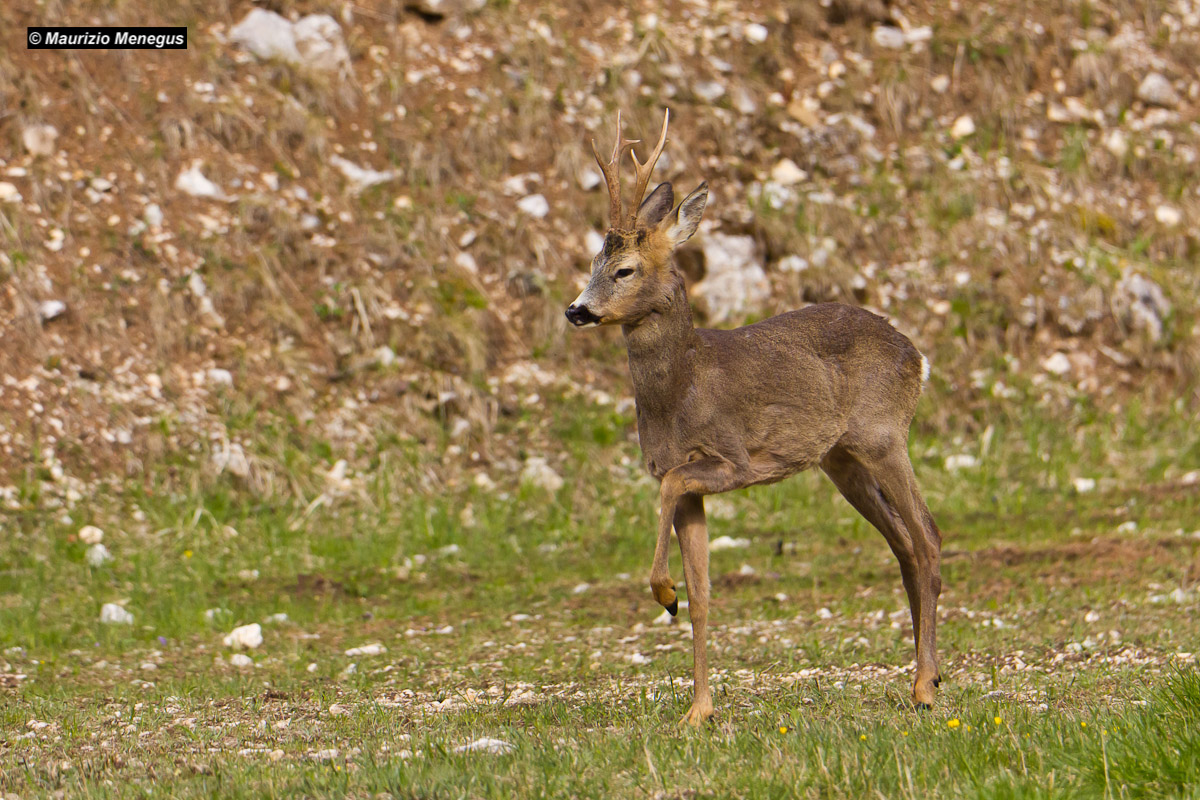 Ready for the challenge