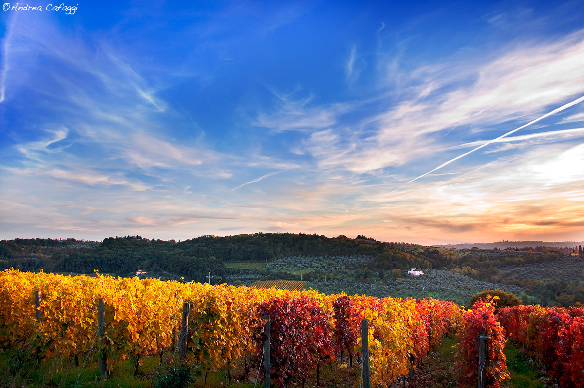 Pennellate d'autunno