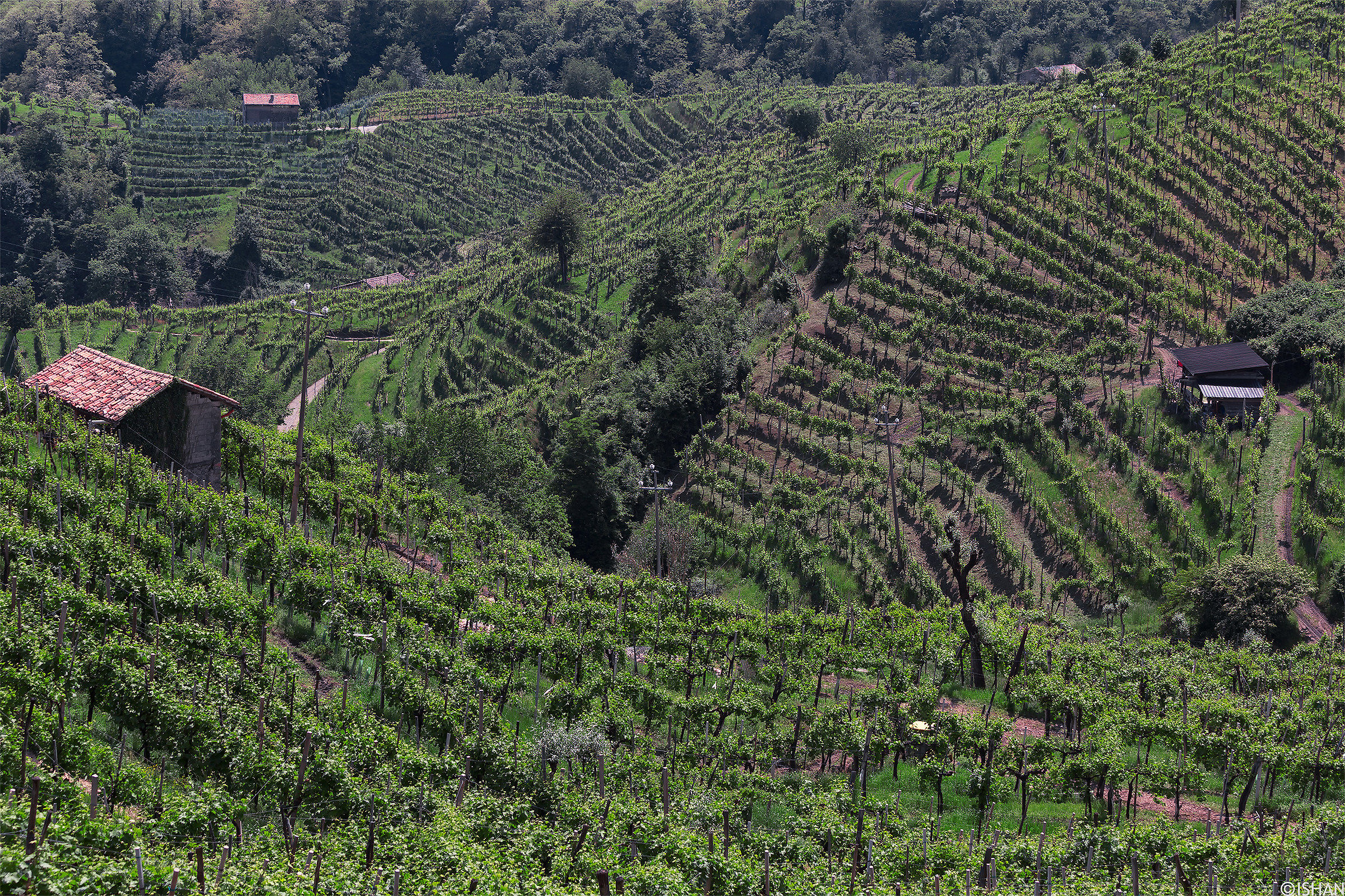 Sul mezzo del giorno