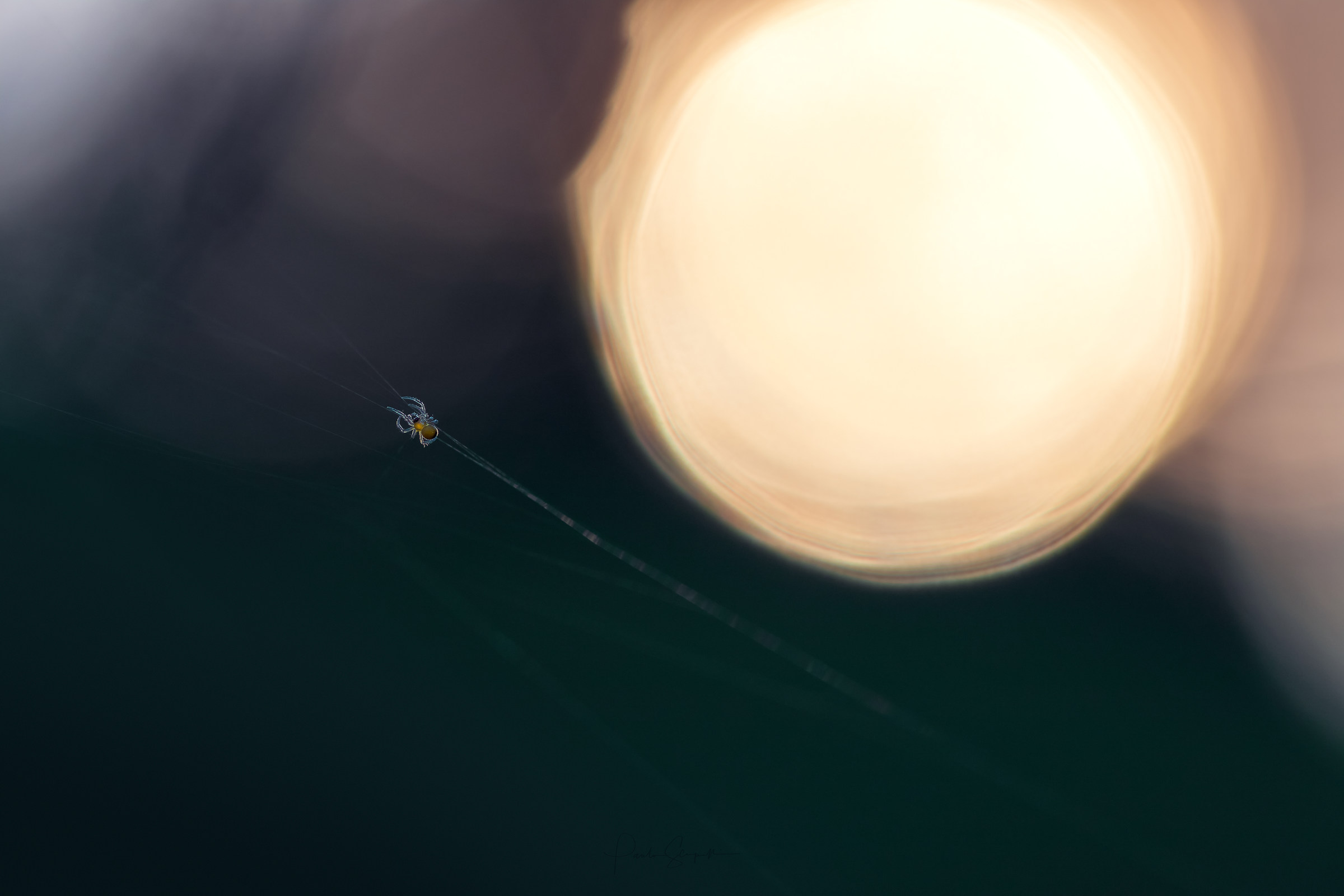 Effortlessly minimalist