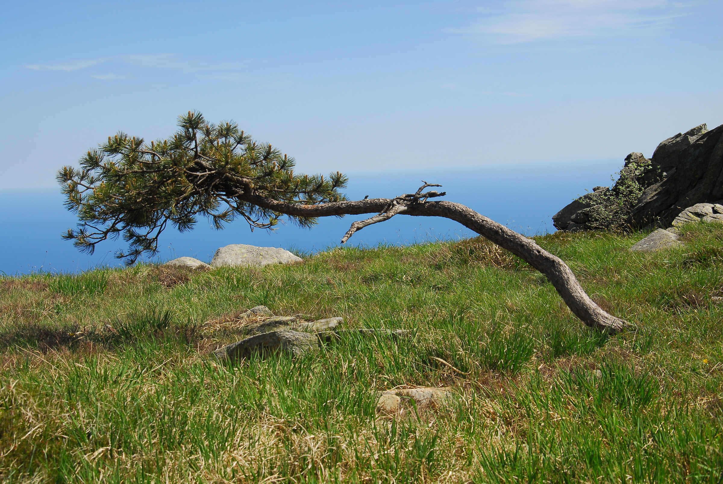 talvolta la fatica di vivere ho incontrato...