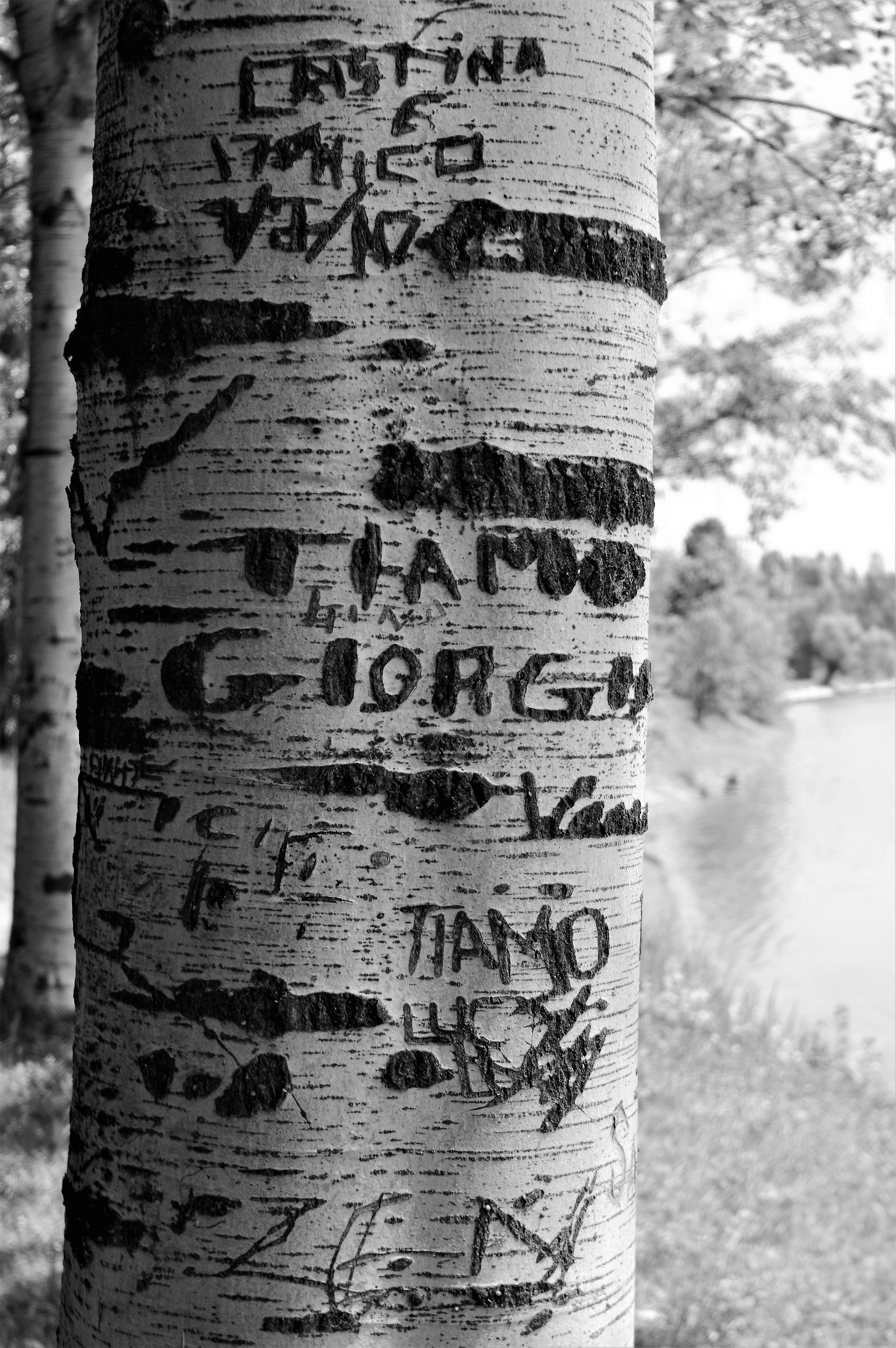 I wrote I love you .....