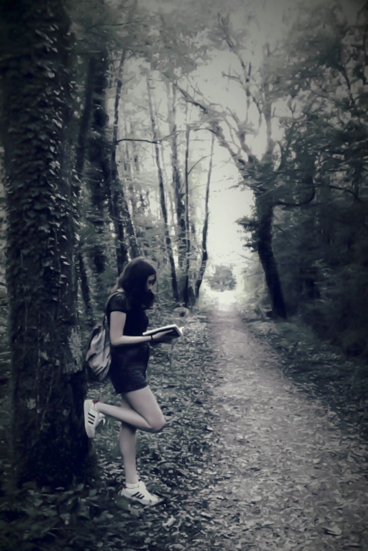 On the path in the woods