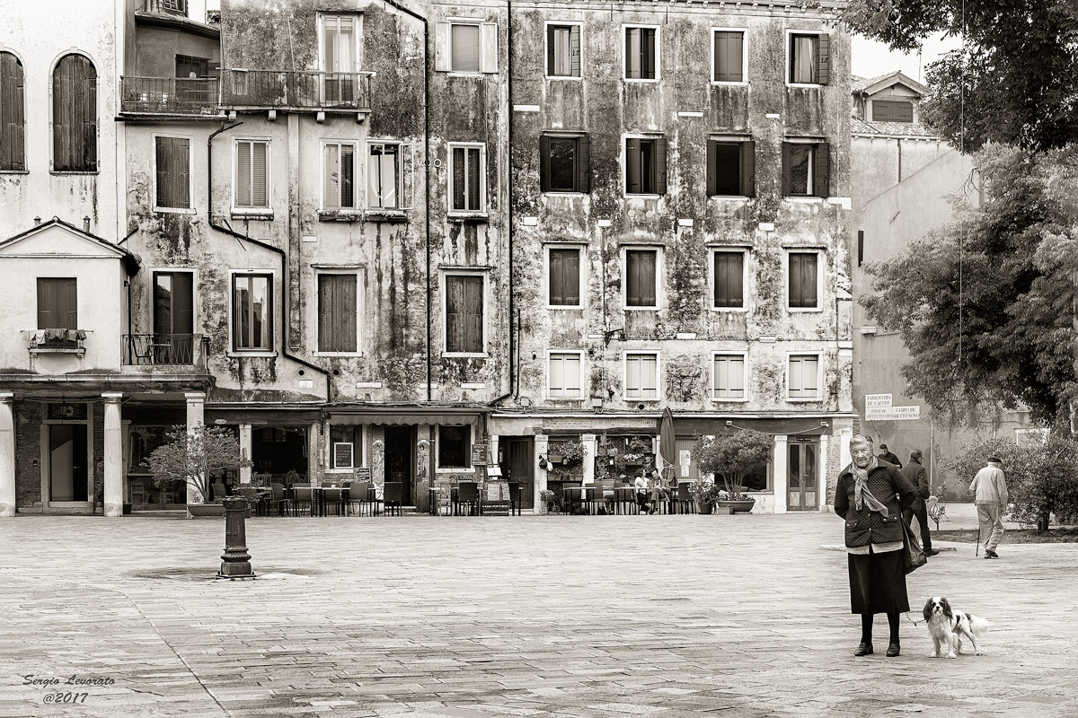 The other Venice