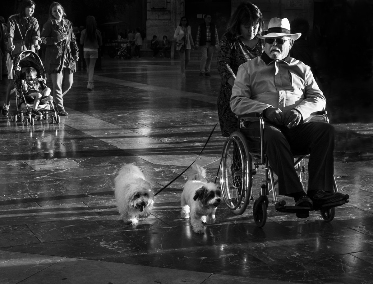 La vita e' una ruota