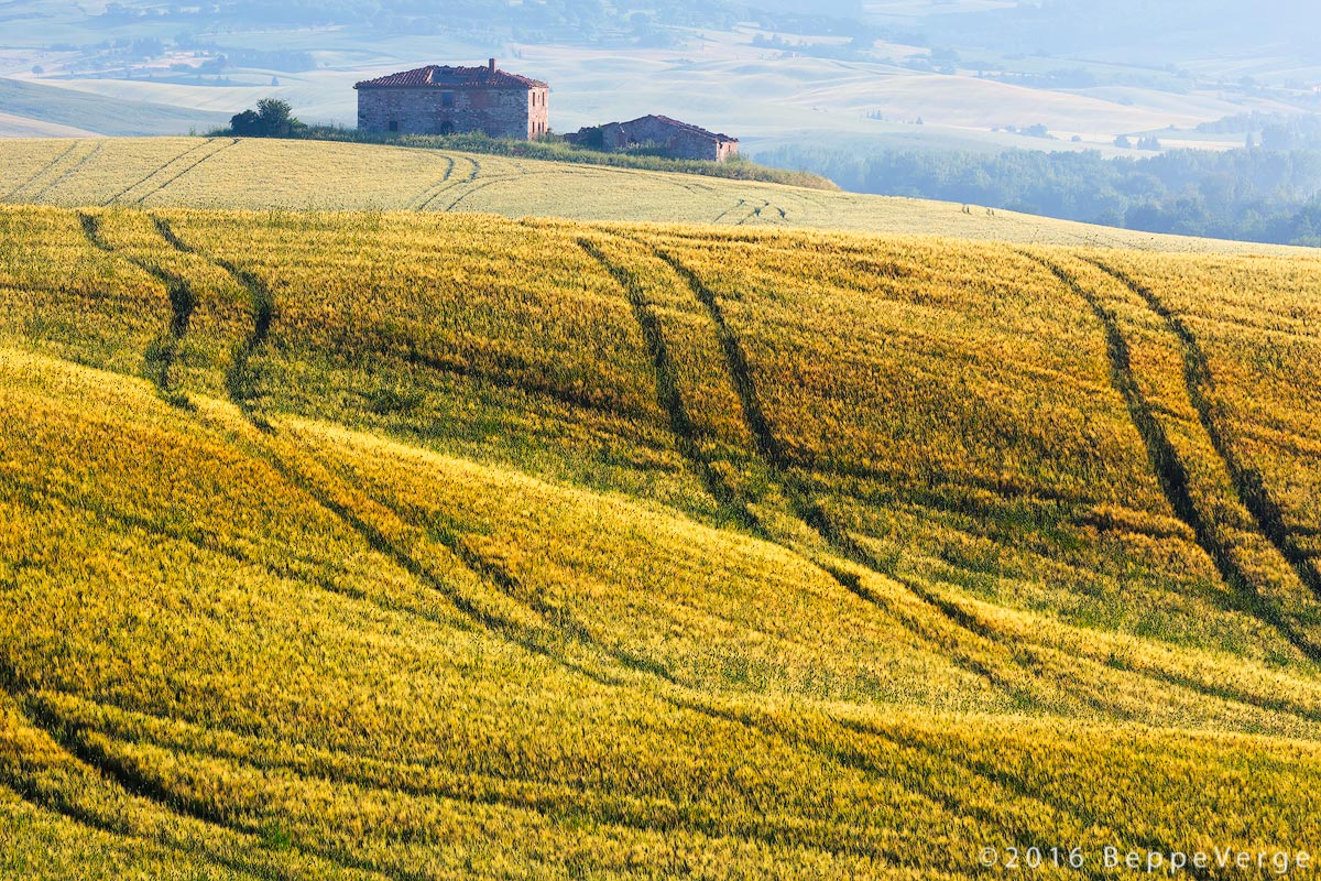 Campagna Toscana