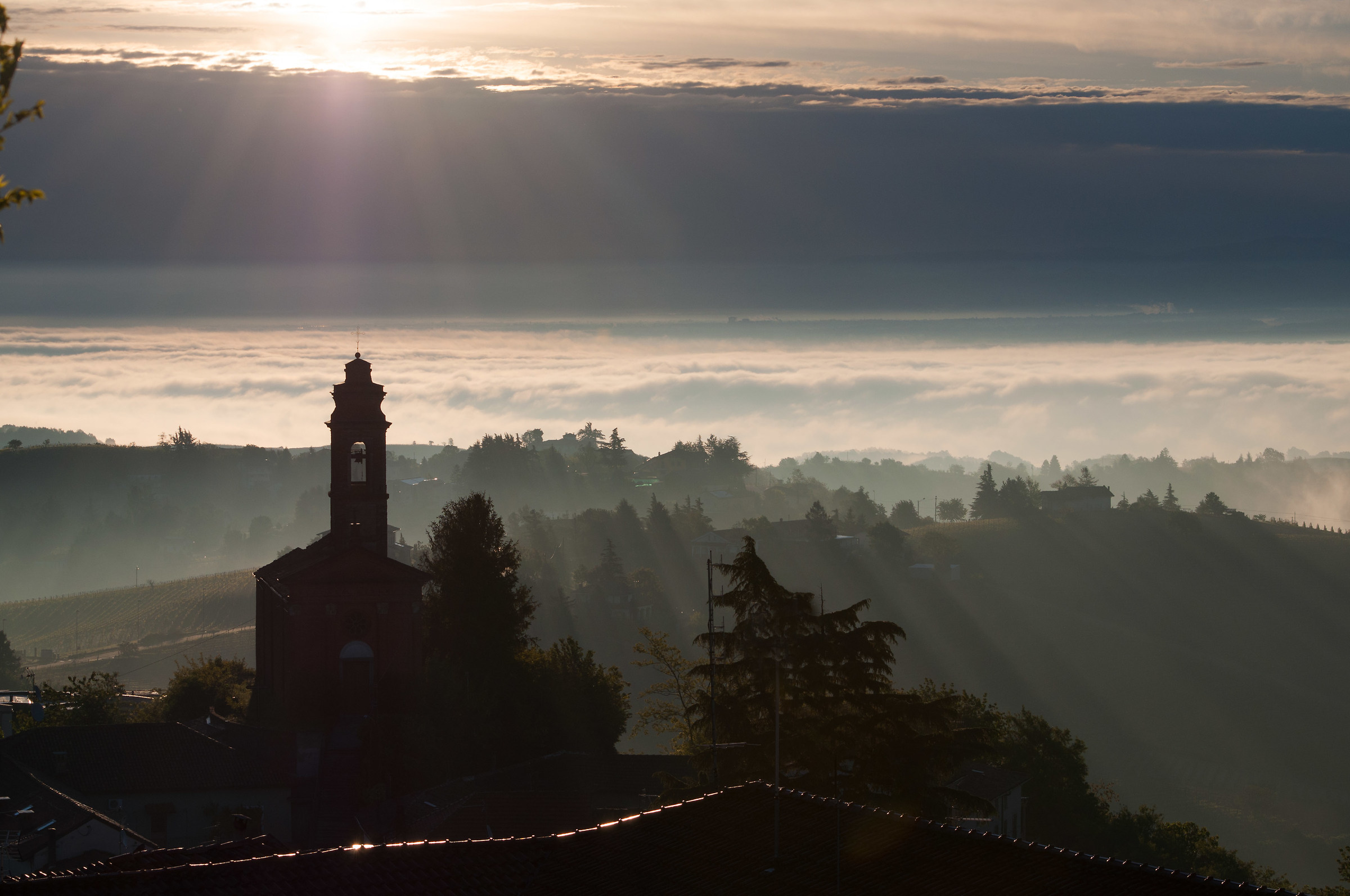 Dawn in Monferrato