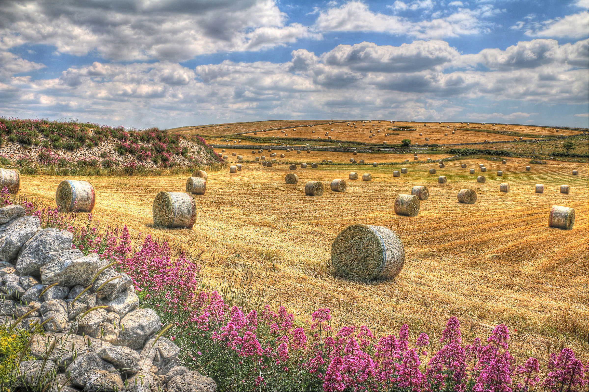 Chi semina, raccoglie...