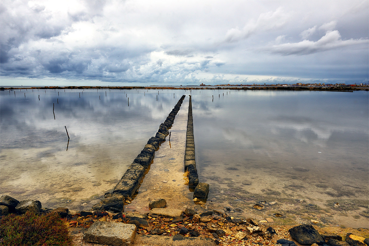 Saline of Trapani April 2017
