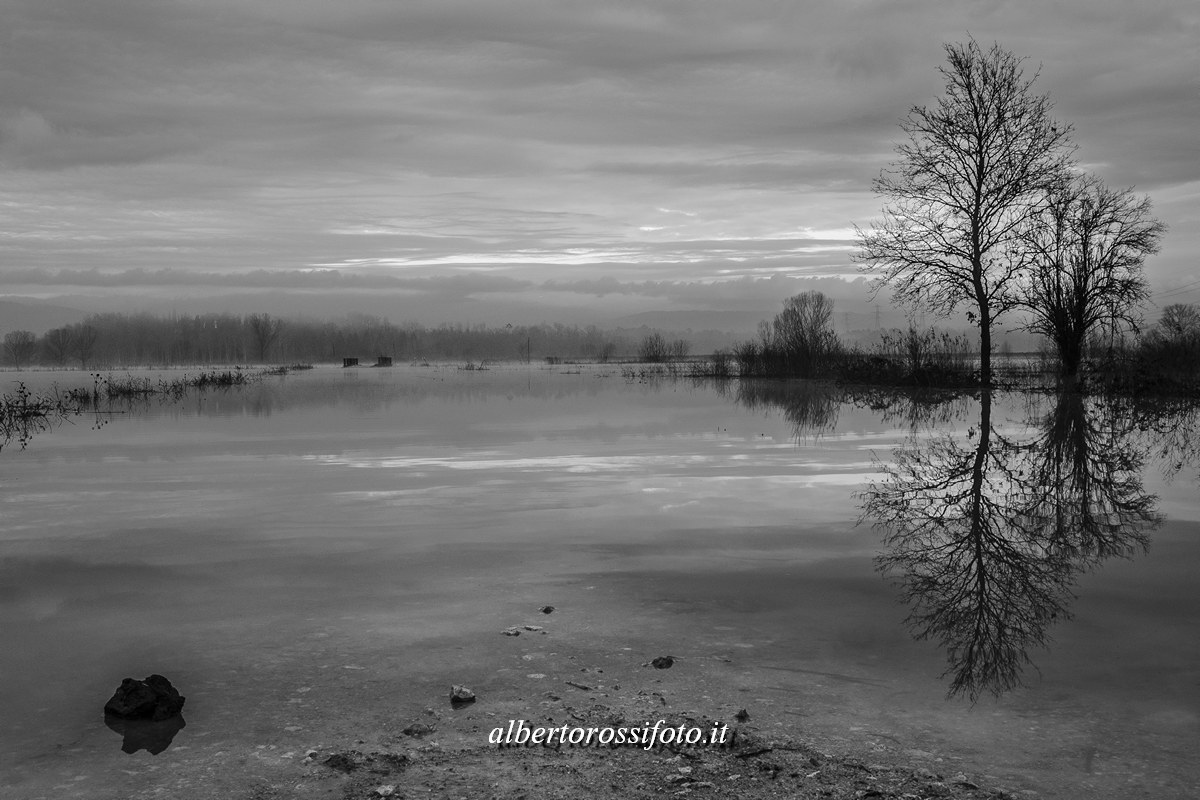 Grande lago di Bientina