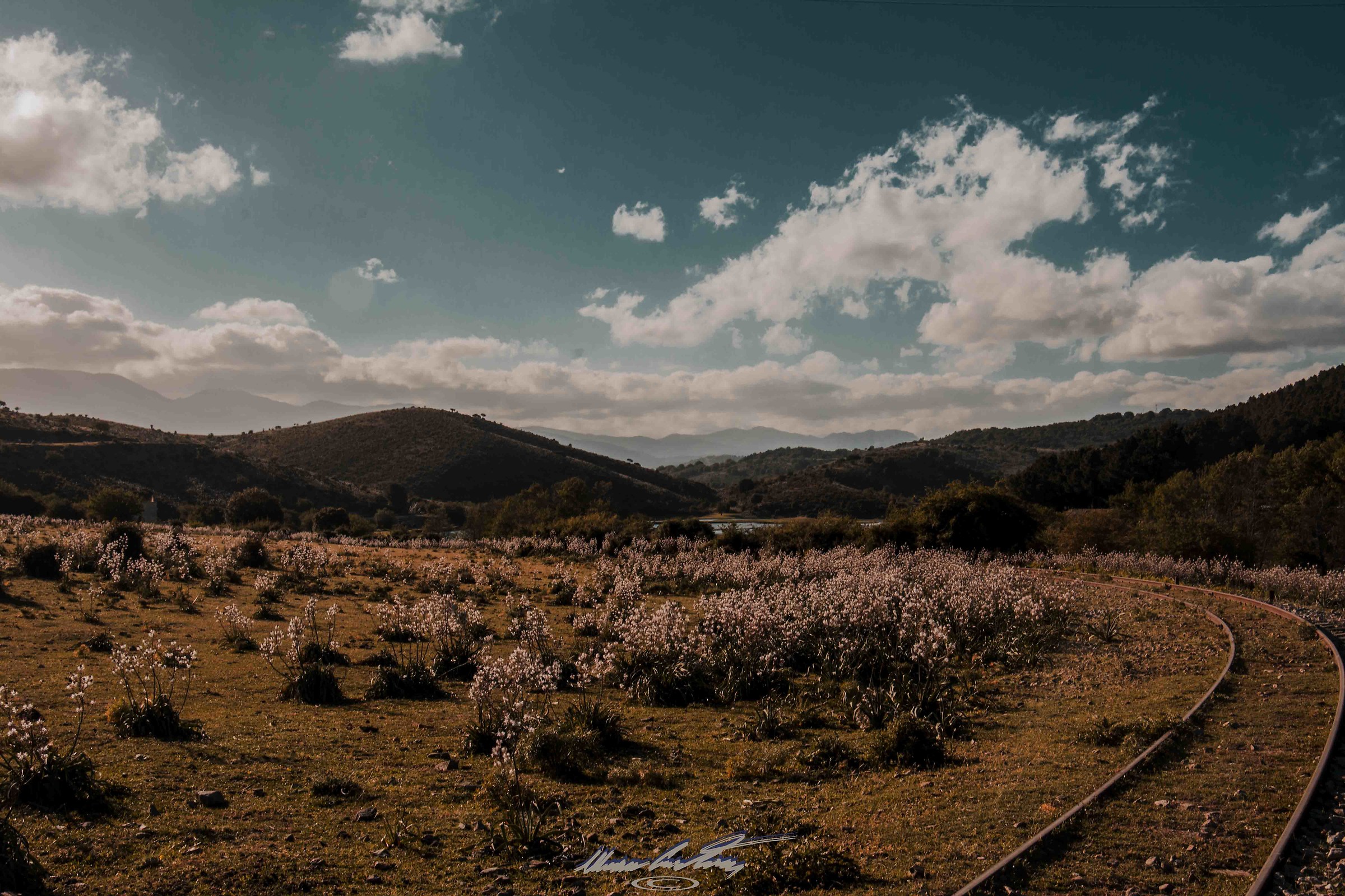 Mandas / Arbatax railway