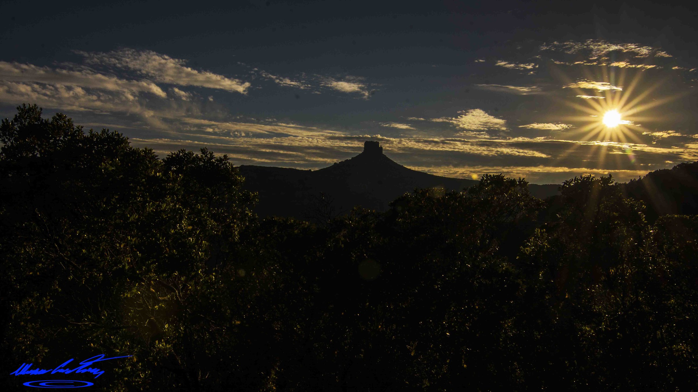 Natural monument lost and Liana