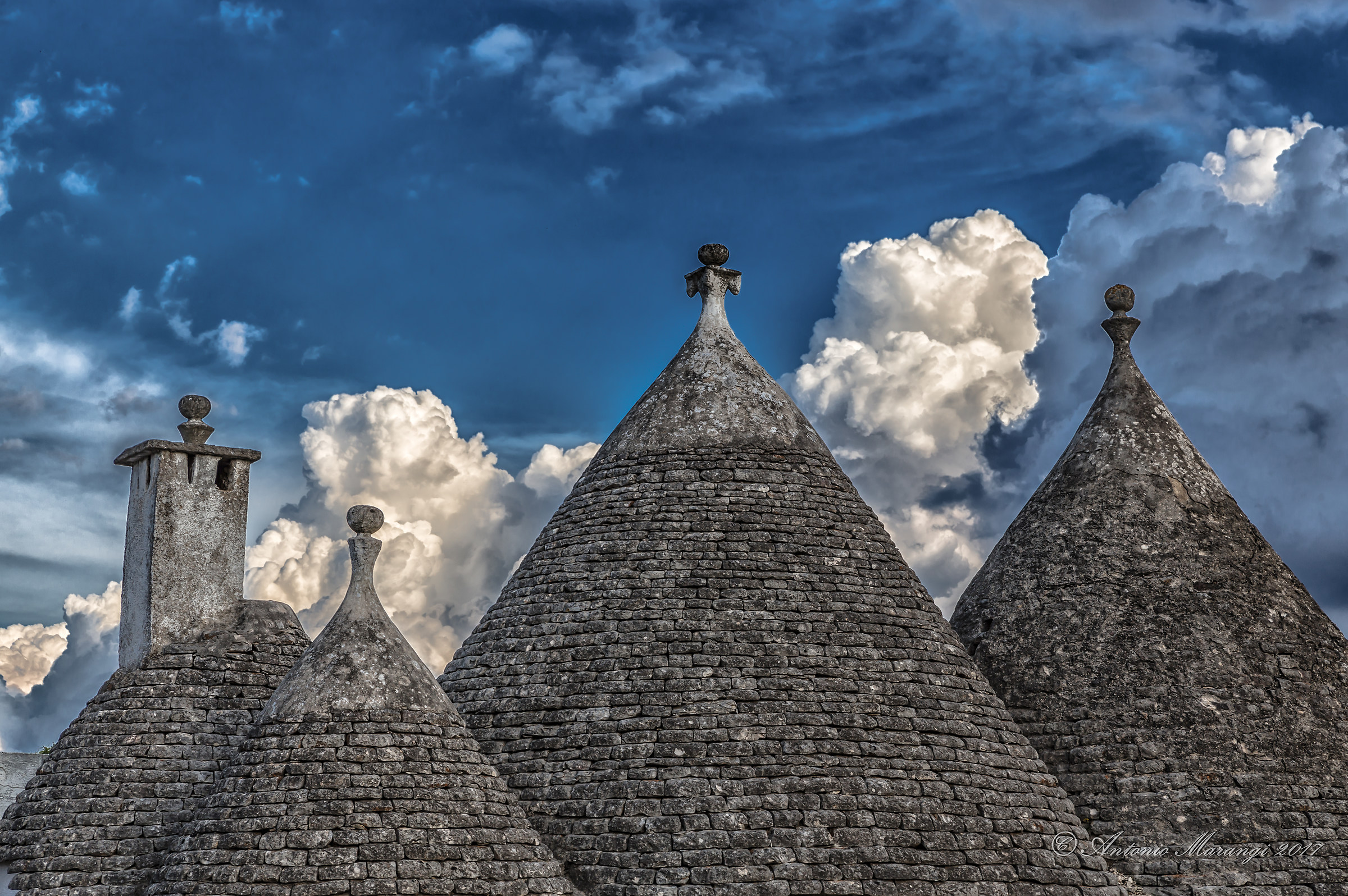 With its head in the clouds