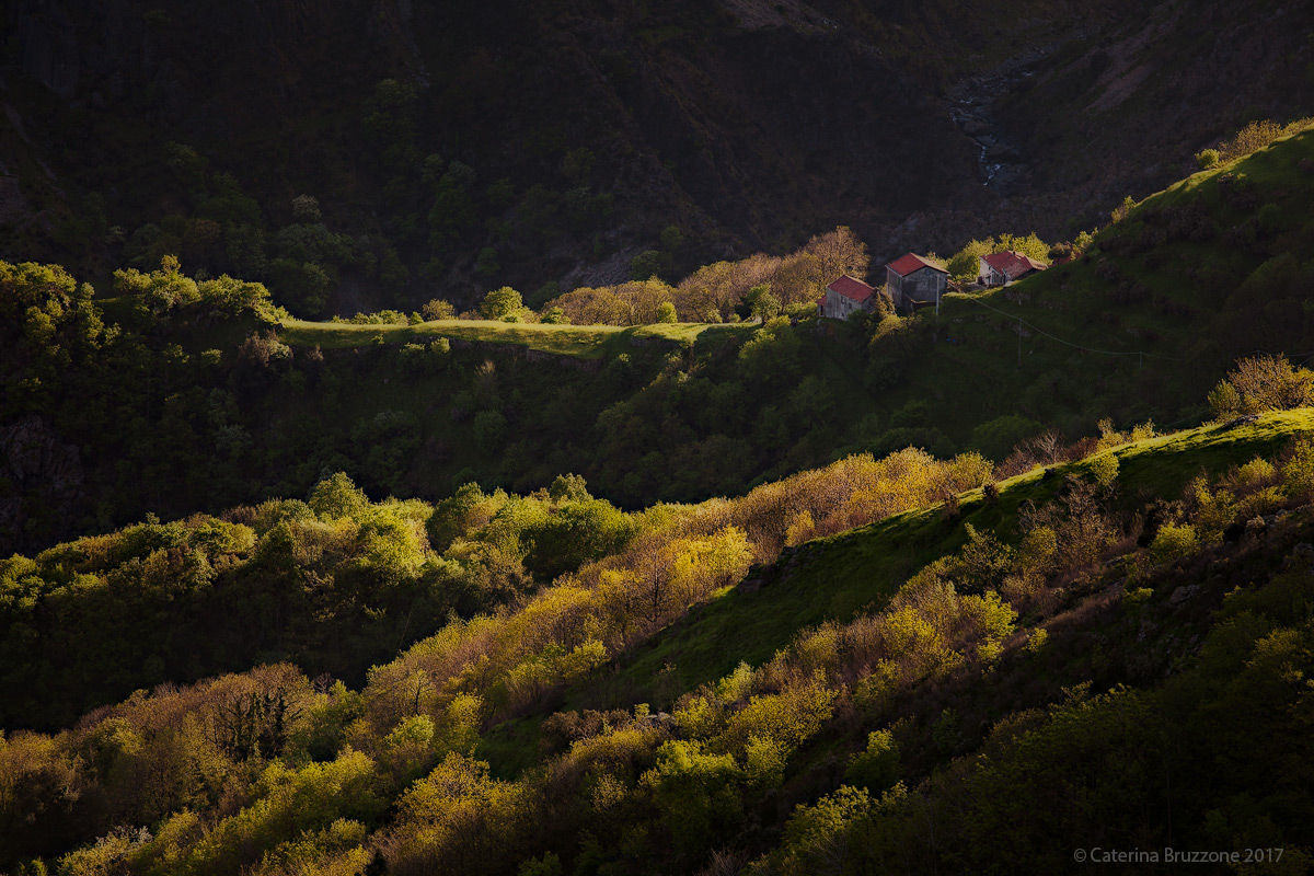 Pennellate di Primavera