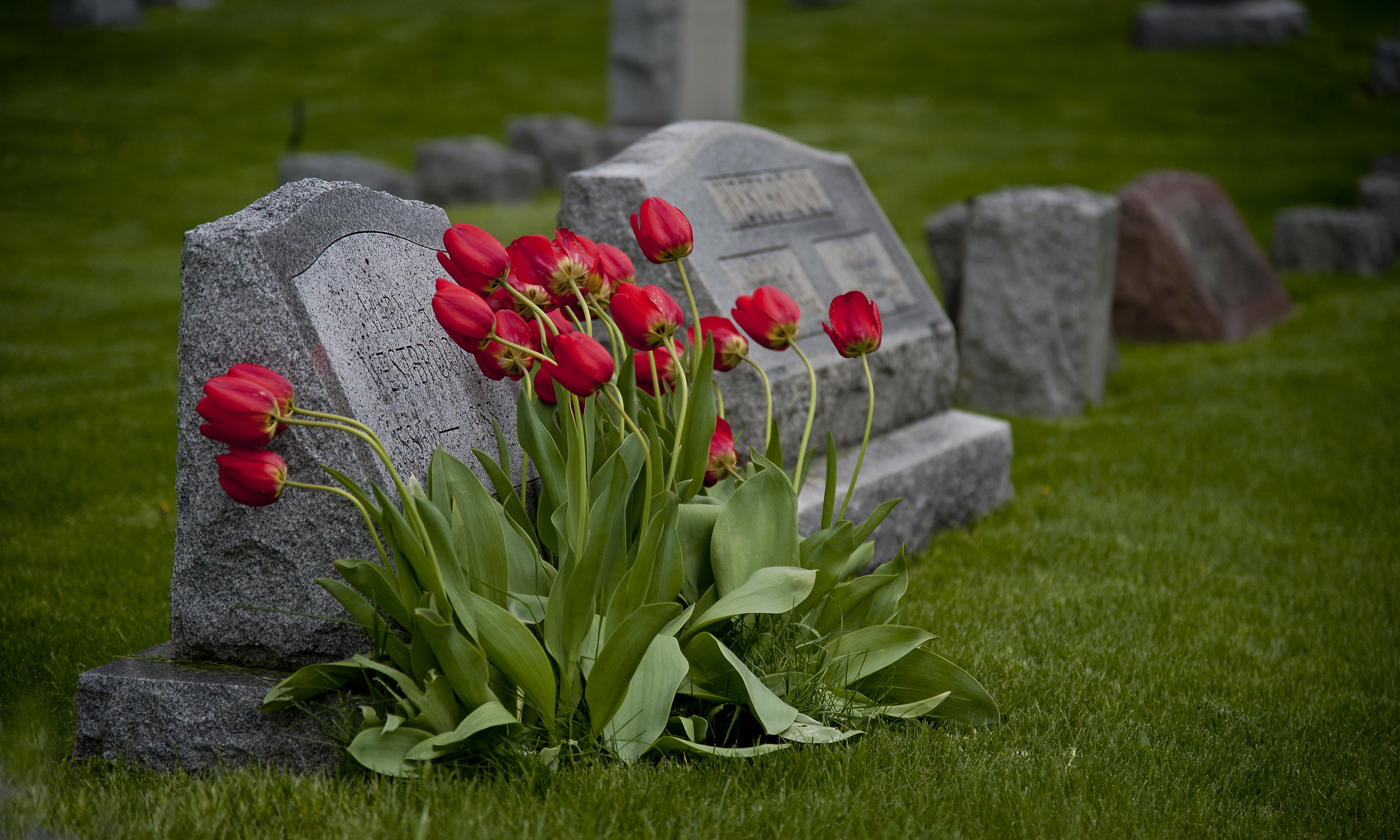 Tomba in cimitero USA