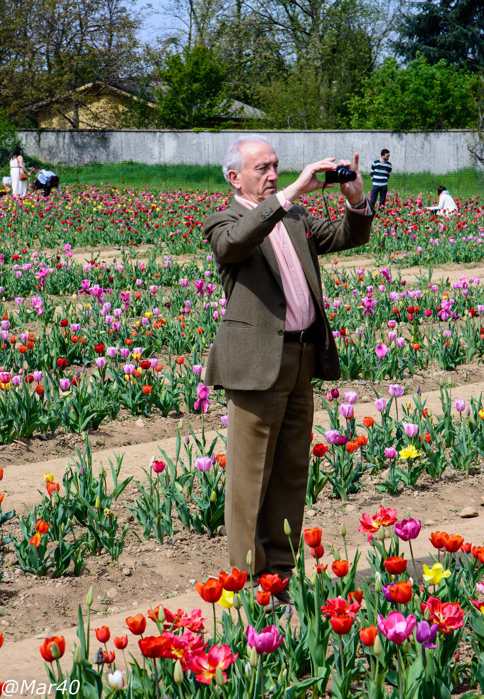 The elegance first of all ...