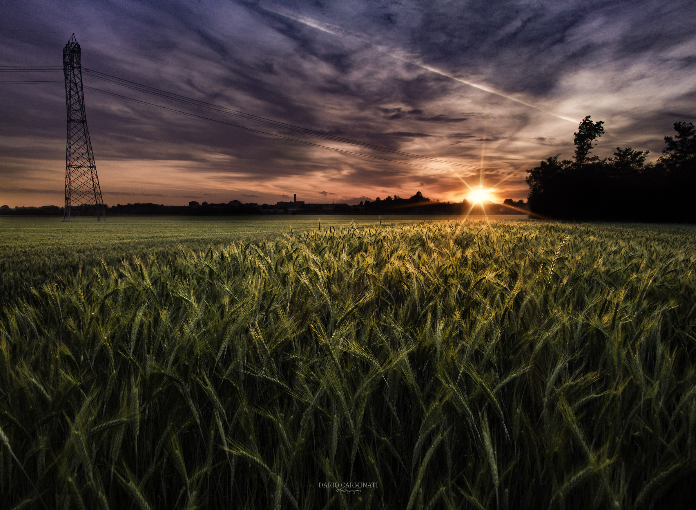 Sunset over wheat