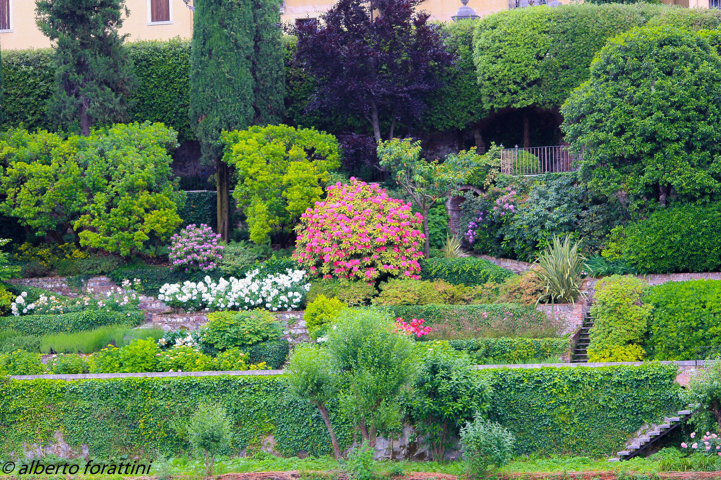giardino sulla sponda