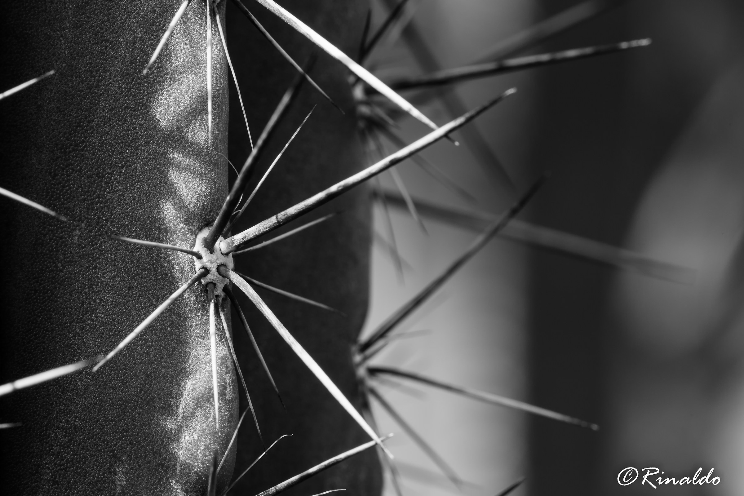 Dedicata alle vittime di Manchester