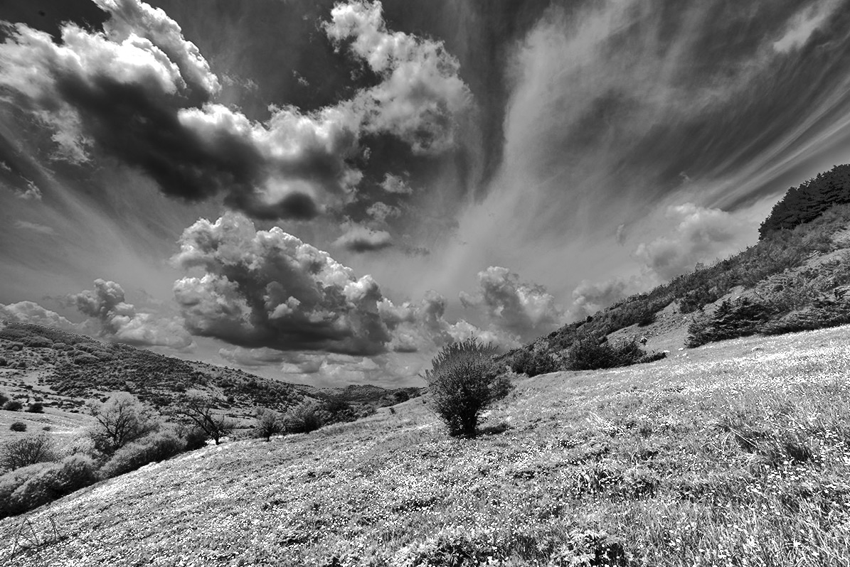 The meadows of Campotosto