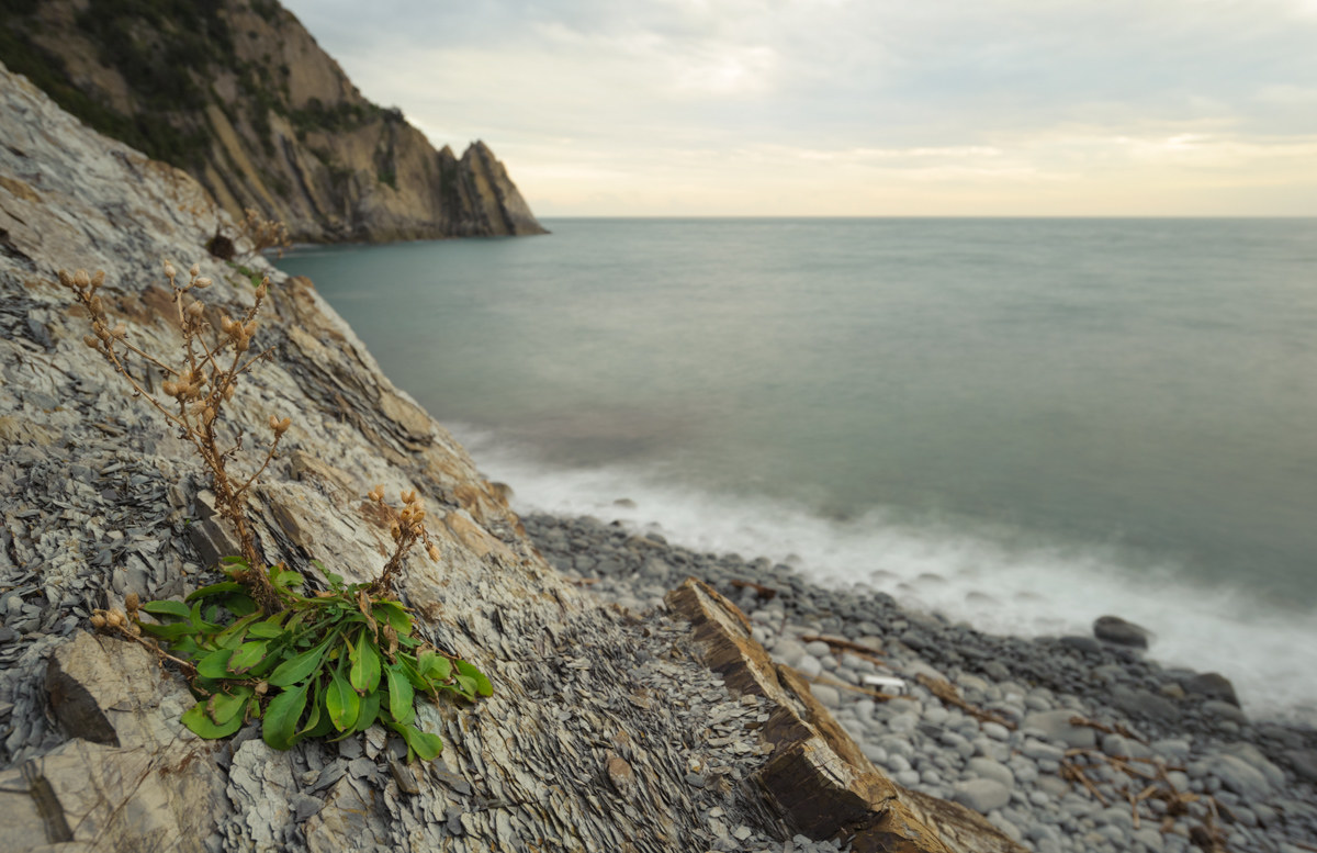 Towards the plaques of Riva!